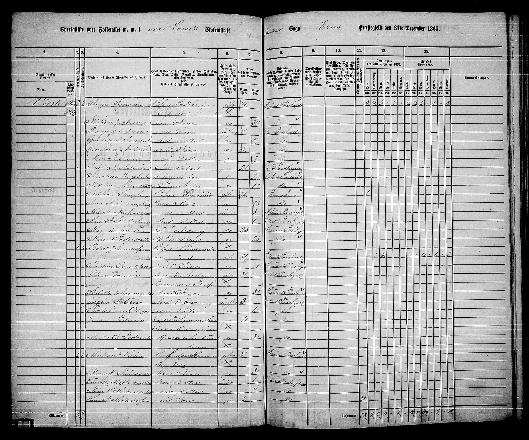 RA, 1865 census for Eiker, 1865, p. 453