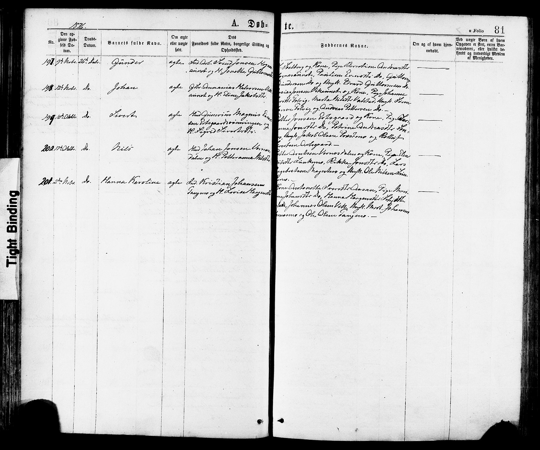 Ministerialprotokoller, klokkerbøker og fødselsregistre - Nord-Trøndelag, SAT/A-1458/709/L0076: Parish register (official) no. 709A16, 1871-1879, p. 81