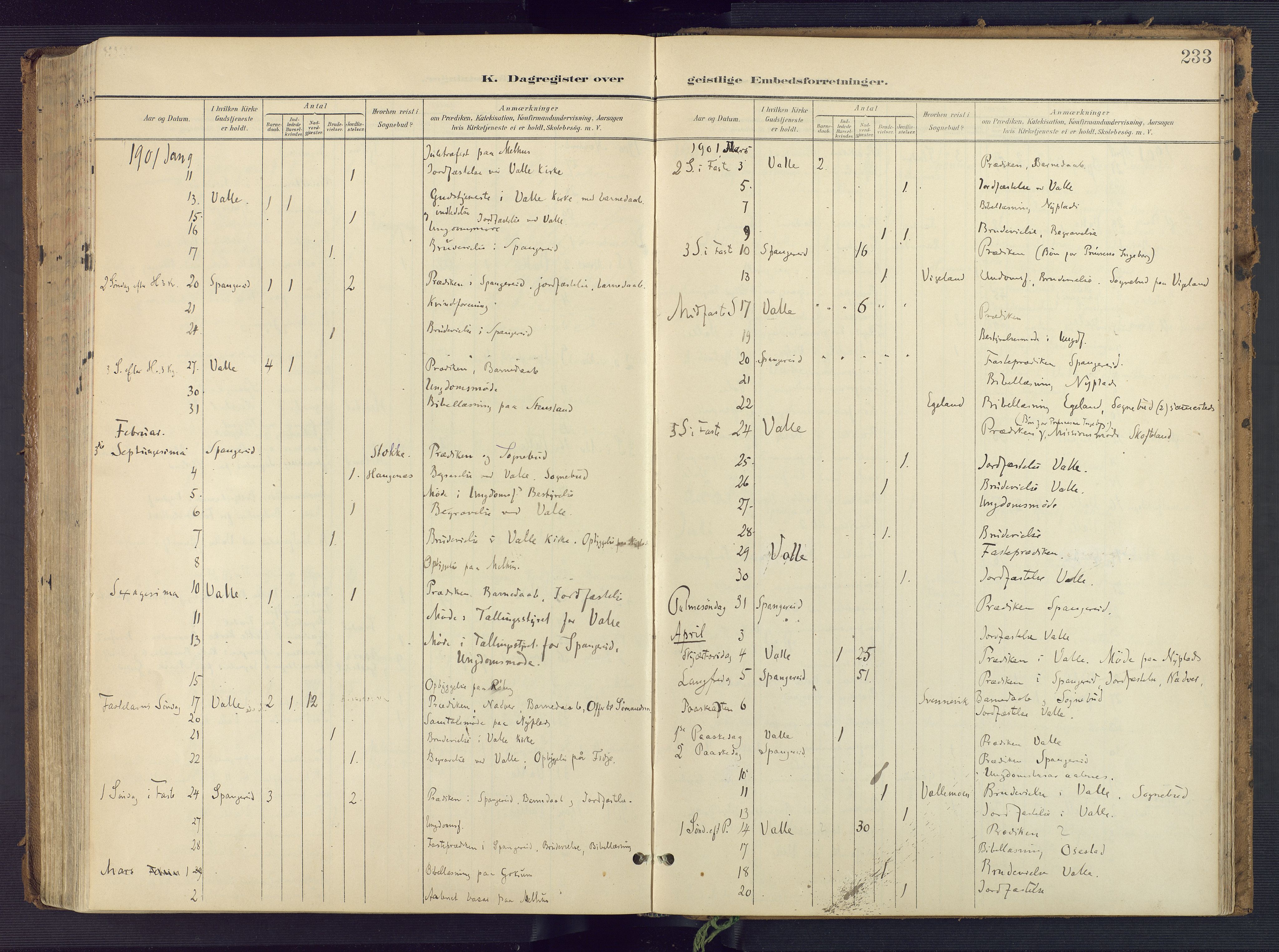 Sør-Audnedal sokneprestkontor, SAK/1111-0039/F/Fa/Faa/L0005: Parish register (official) no. A 5, 1900-1923, p. 233