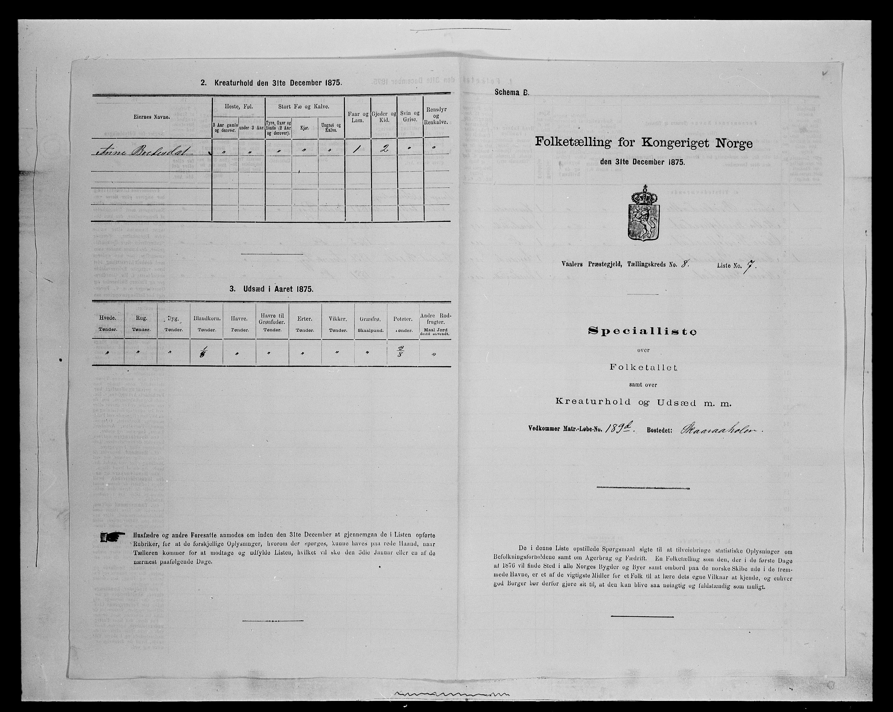 SAH, 1875 census for 0426P Våler parish (Hedmark), 1875, p. 1036