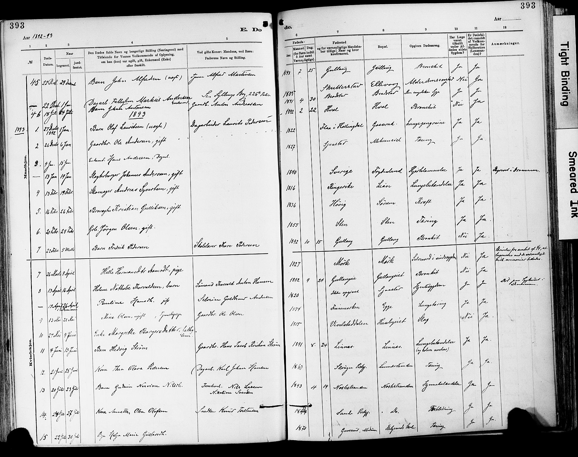 Lier kirkebøker, AV/SAKO-A-230/F/Fa/L0015: Parish register (official) no. I 15, 1883-1894, p. 393