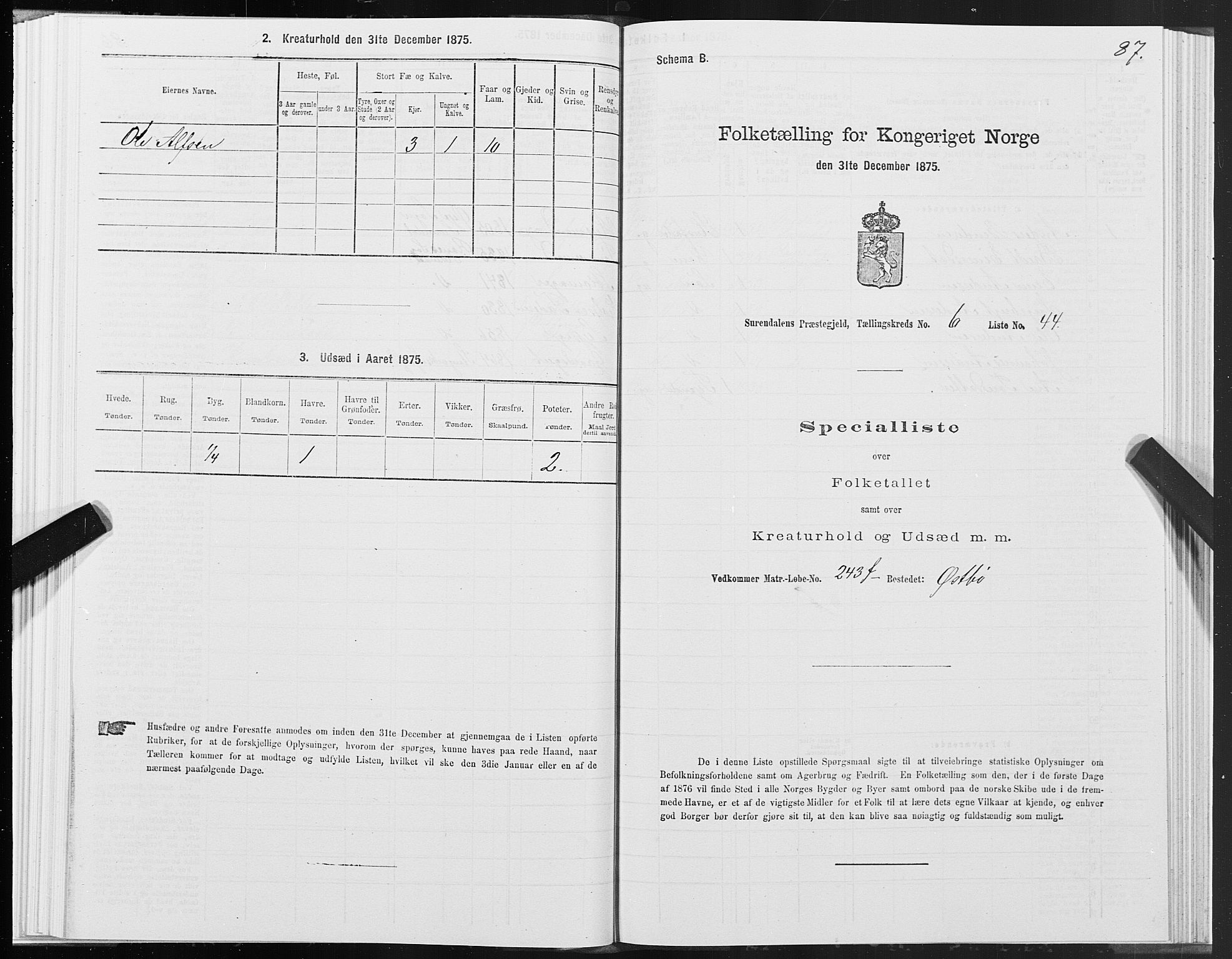 SAT, 1875 census for 1566P Surnadal, 1875, p. 3087