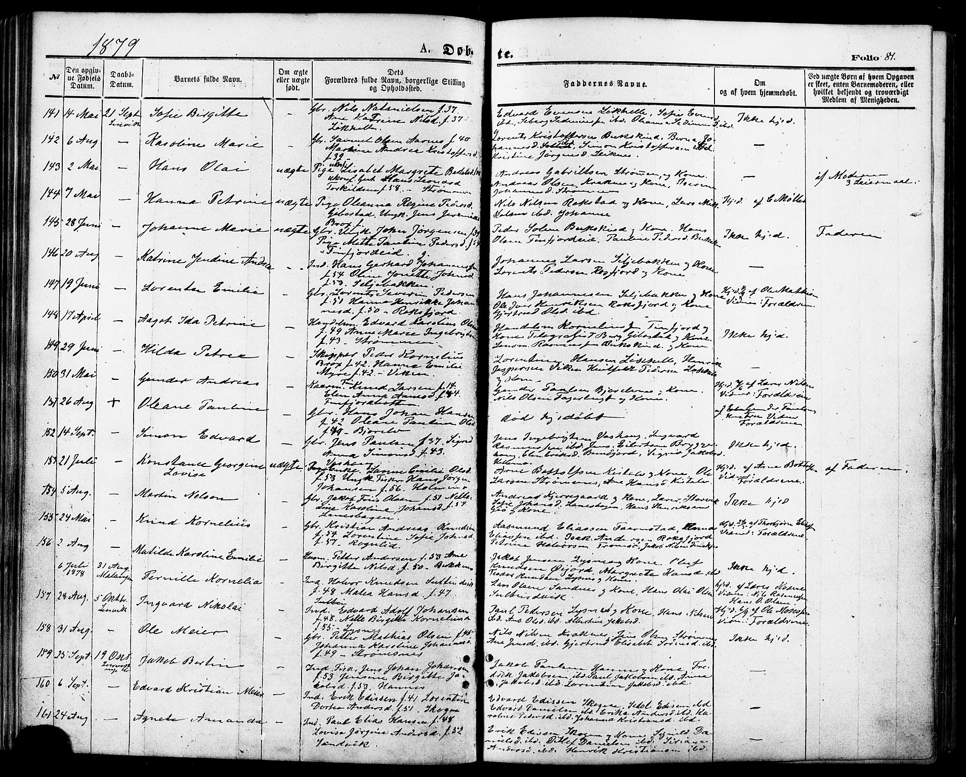 Lenvik sokneprestembete, SATØ/S-1310/H/Ha/Haa/L0010kirke: Parish register (official) no. 10, 1873-1880, p. 81