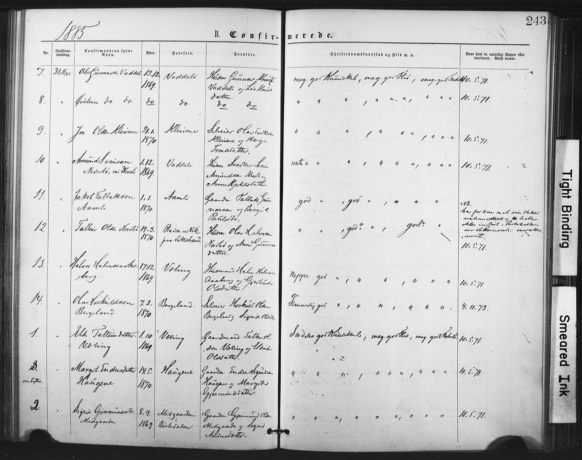 Fyresdal kirkebøker, SAKO/A-263/F/Fa/L0006: Parish register (official) no. I 6, 1872-1886, p. 243