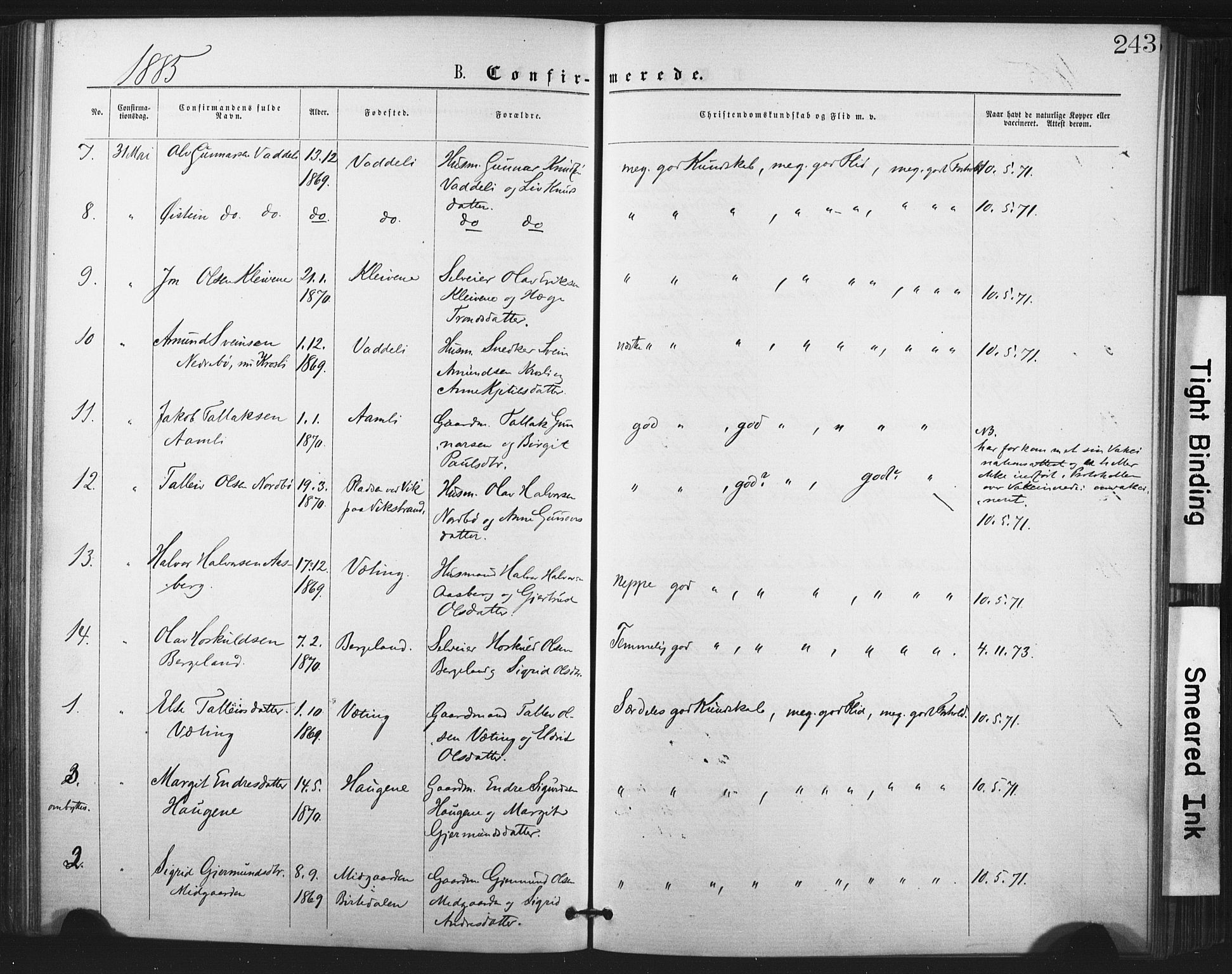 Fyresdal kirkebøker, AV/SAKO-A-263/F/Fa/L0006: Parish register (official) no. I 6, 1872-1886, p. 243