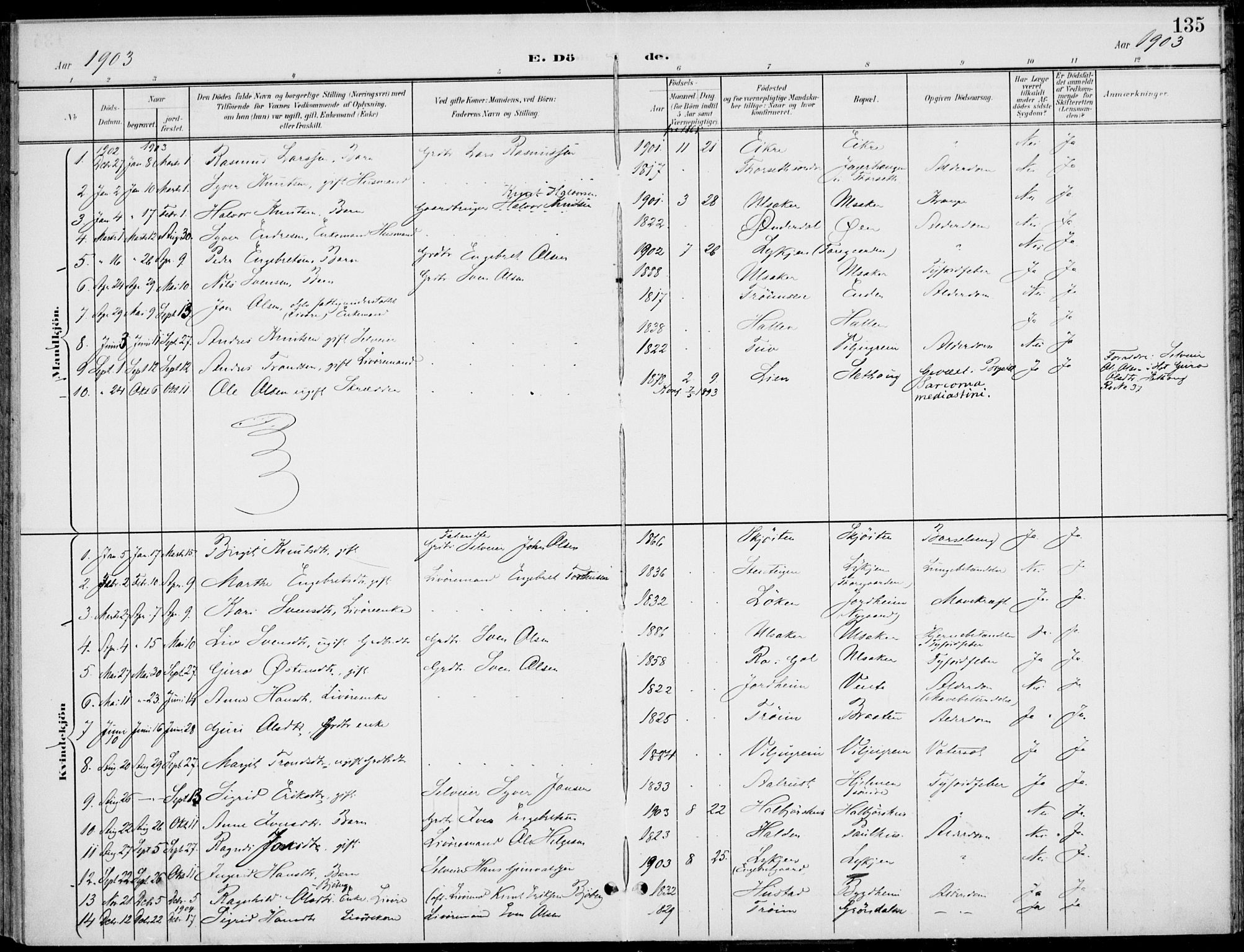 Gol kirkebøker, AV/SAKO-A-226/F/Fb/L0002: Parish register (official) no. II 2, 1900-1921, p. 135