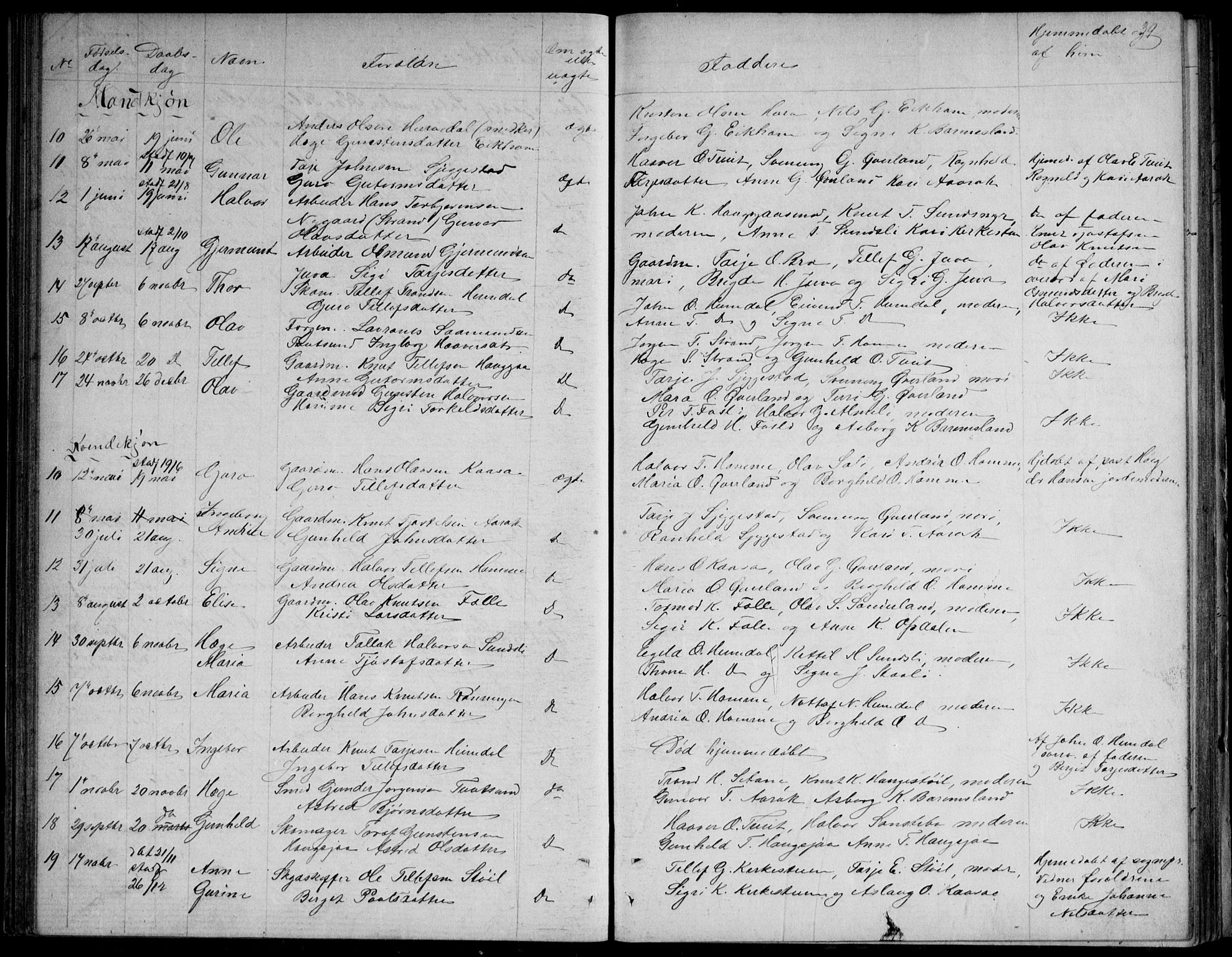 Nissedal kirkebøker, SAKO/A-288/G/Gb/L0002: Parish register (copy) no. II 2, 1863-1892, p. 39