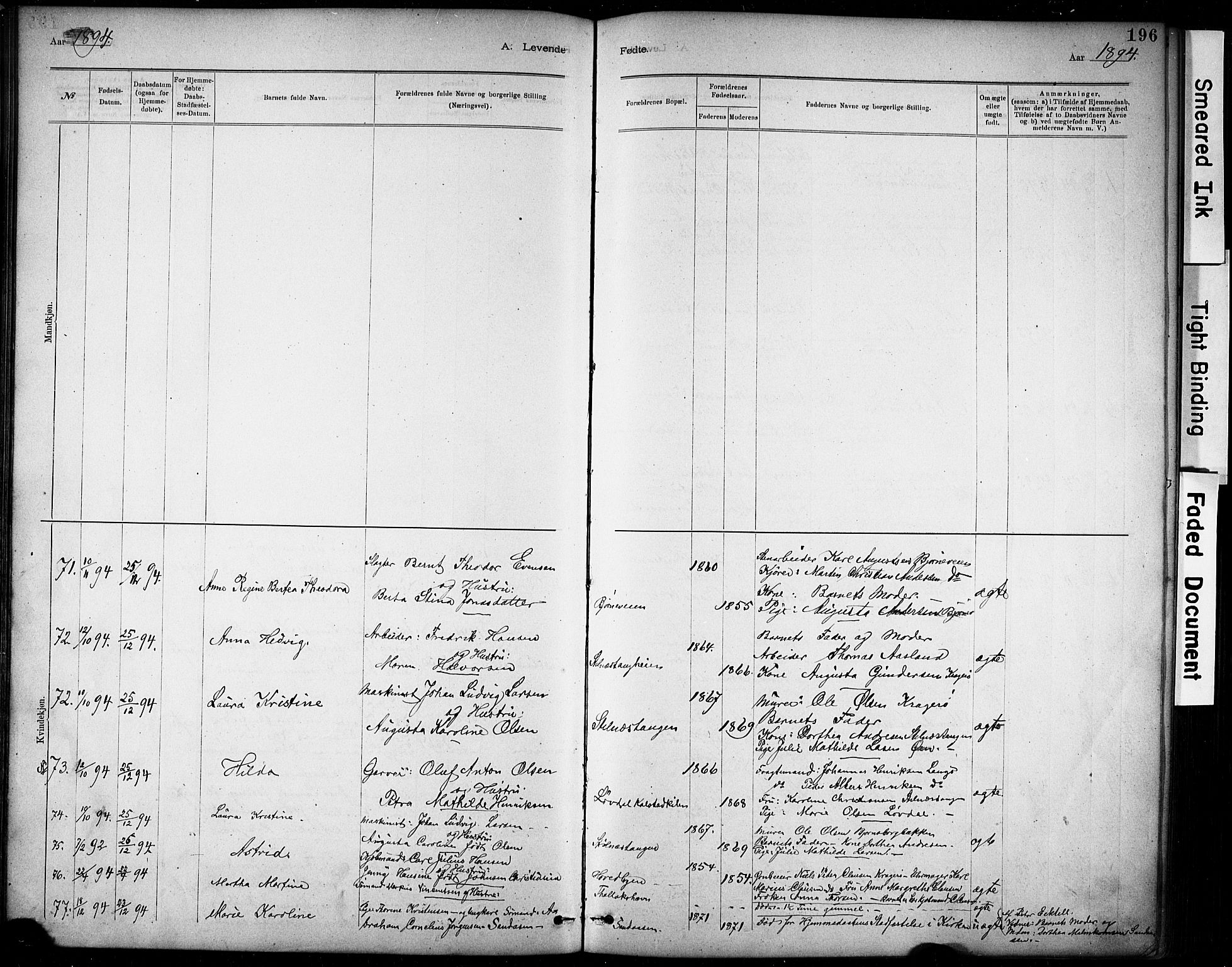 Kragerø kirkebøker, SAKO/A-278/G/Ga/L0007: Parish register (copy) no. 7, 1881-1927, p. 196