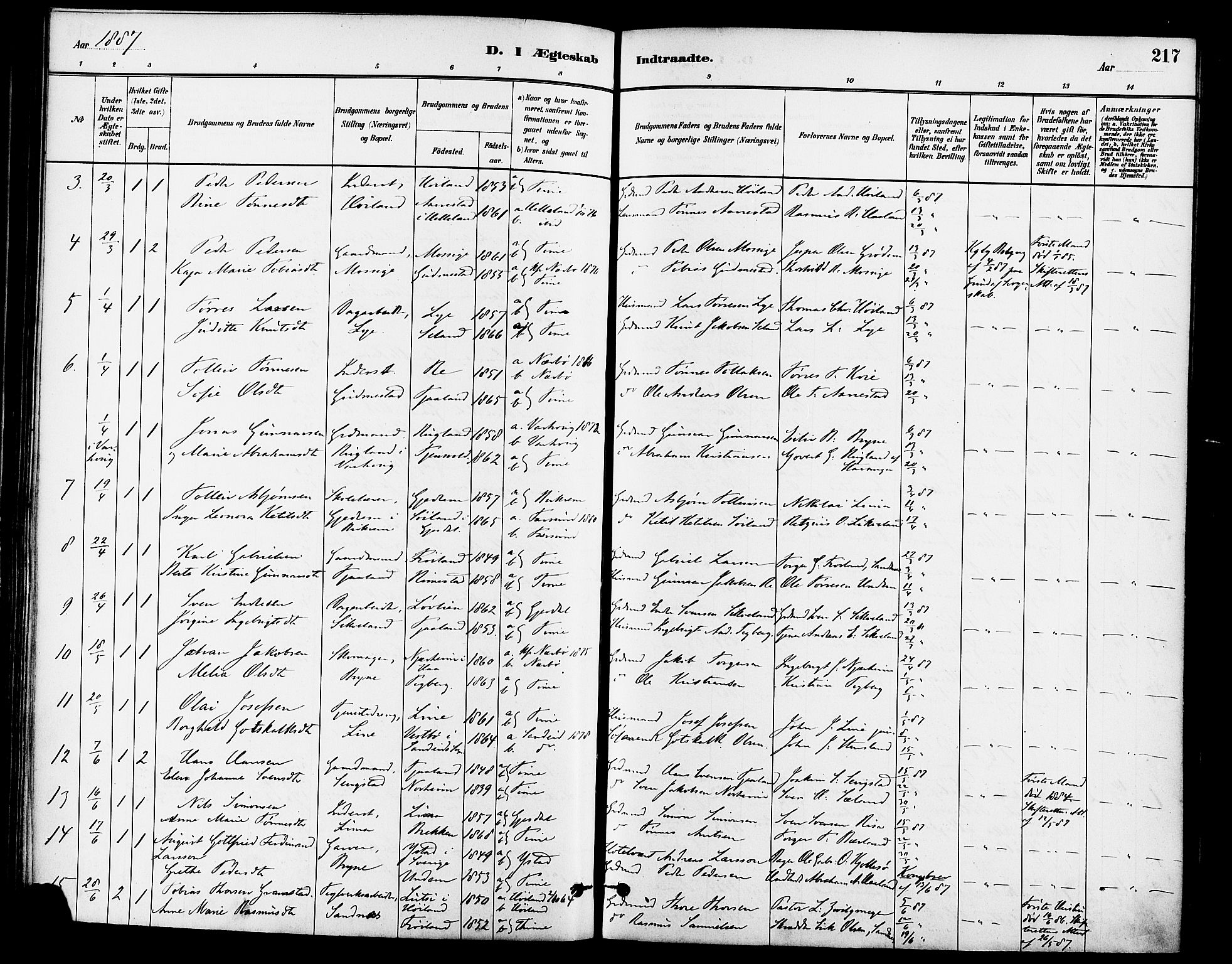 Lye sokneprestkontor, AV/SAST-A-101794/001/30BA/L0009: Parish register (official) no. A 8, 1881-1892, p. 217