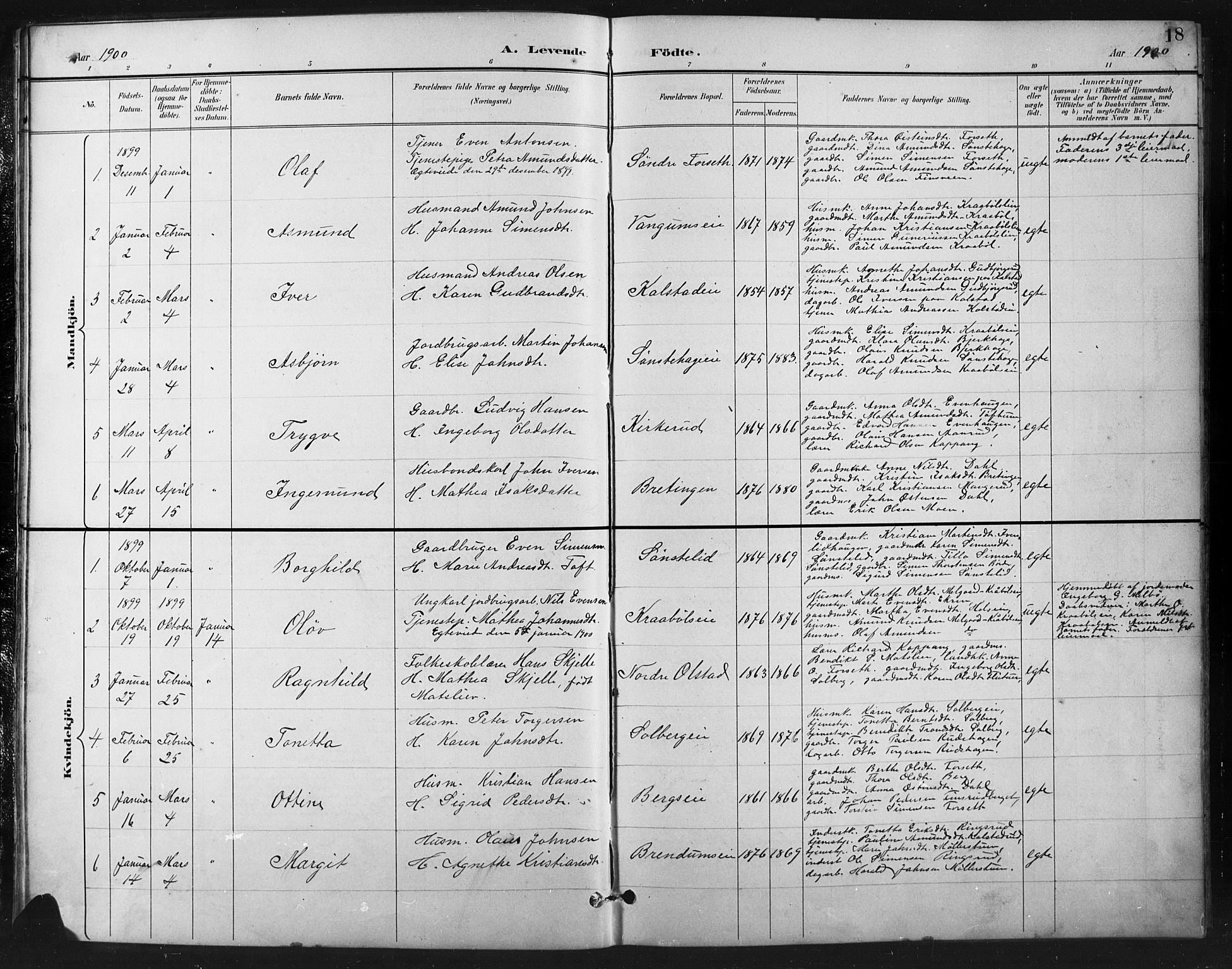 Vestre Gausdal prestekontor, SAH/PREST-094/H/Ha/Hab/L0003: Parish register (copy) no. 3, 1896-1925, p. 18