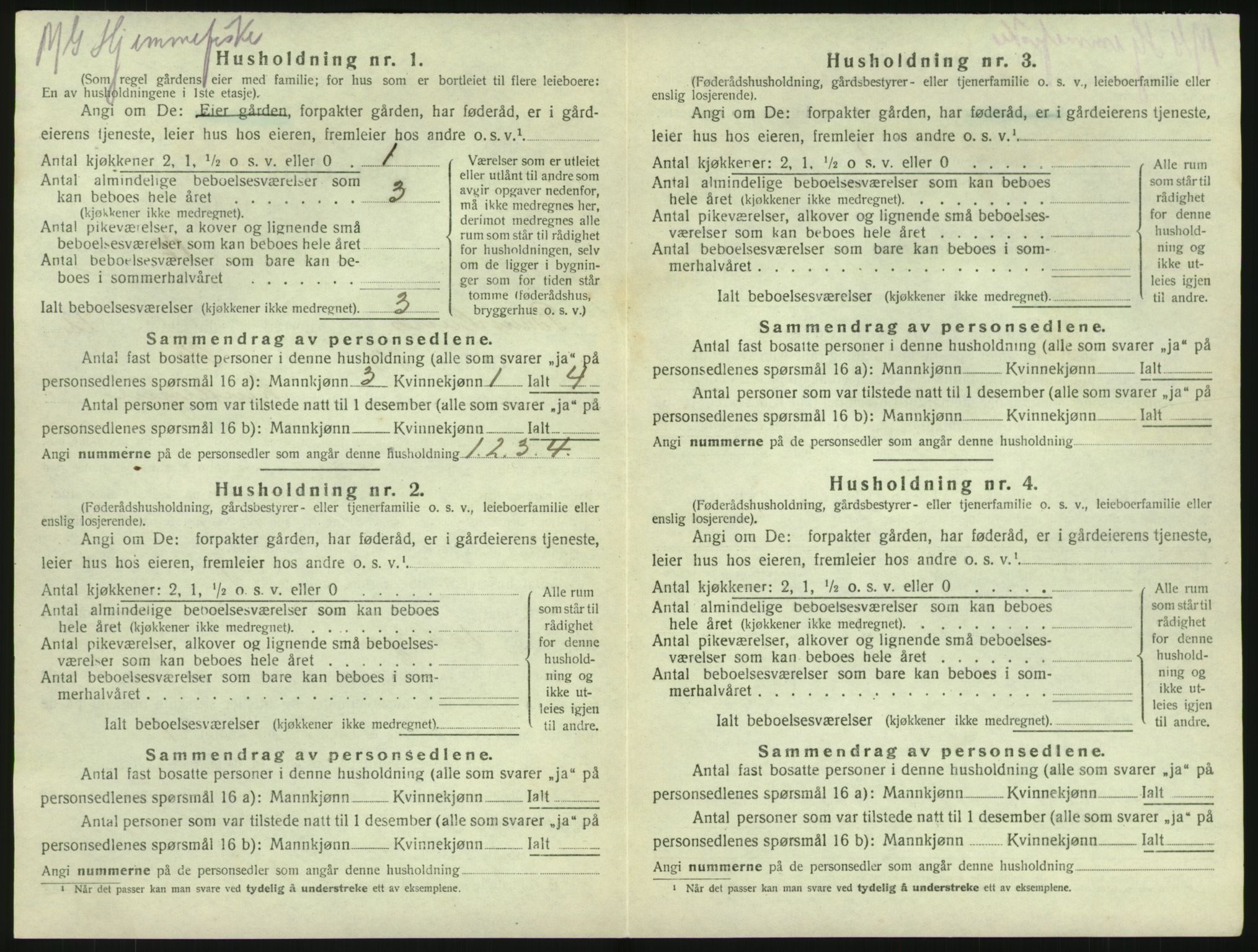 SAKO, 1920 census for Brunlanes, 1920, p. 1730