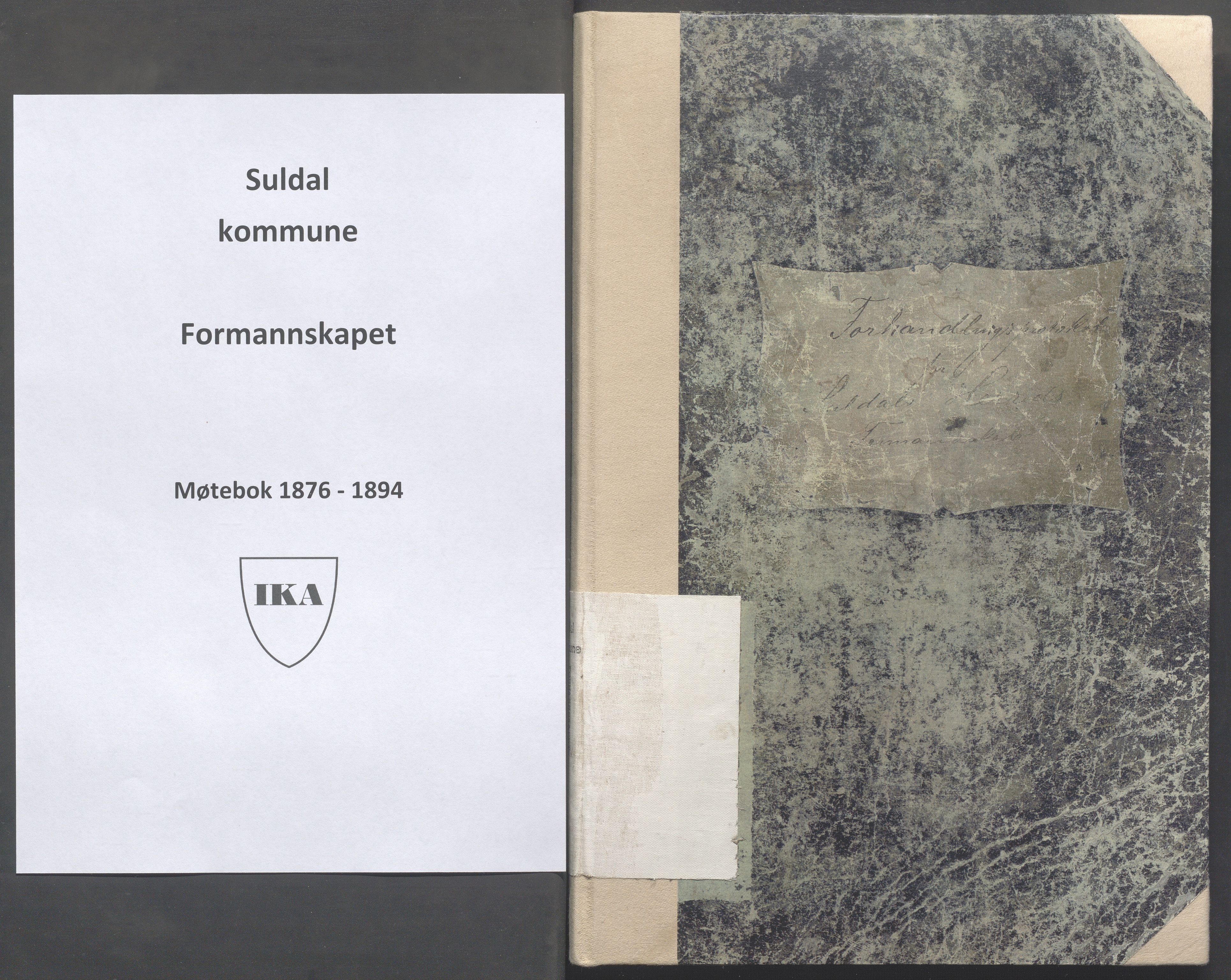 Suldal kommune - Formannskapet/Rådmannen, IKAR/K-101908/A/Aa/L0002: Møtebok, 1876-1894