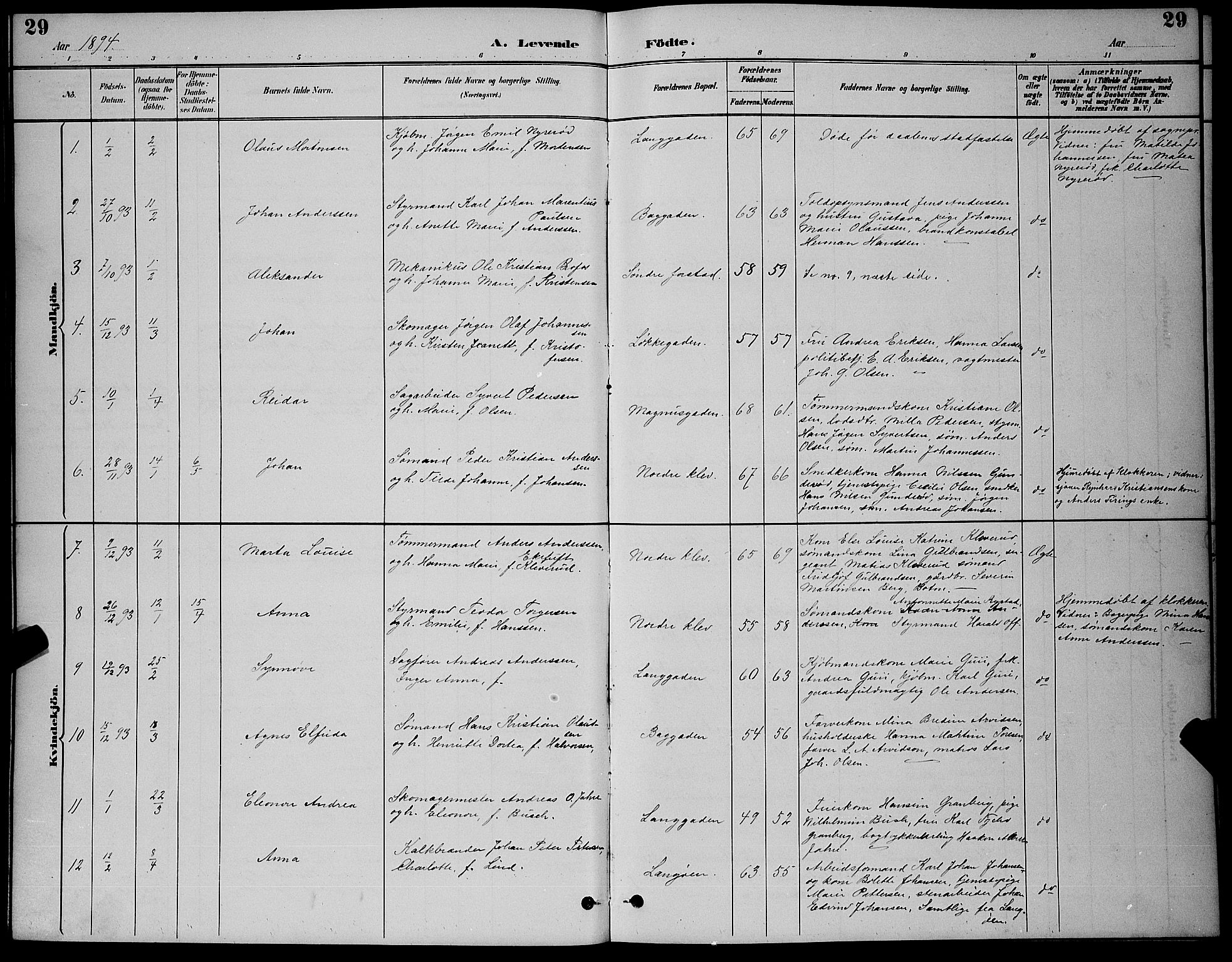 Holmestrand kirkebøker, AV/SAKO-A-346/G/Ga/L0005: Parish register (copy) no. 5, 1889-1901, p. 29