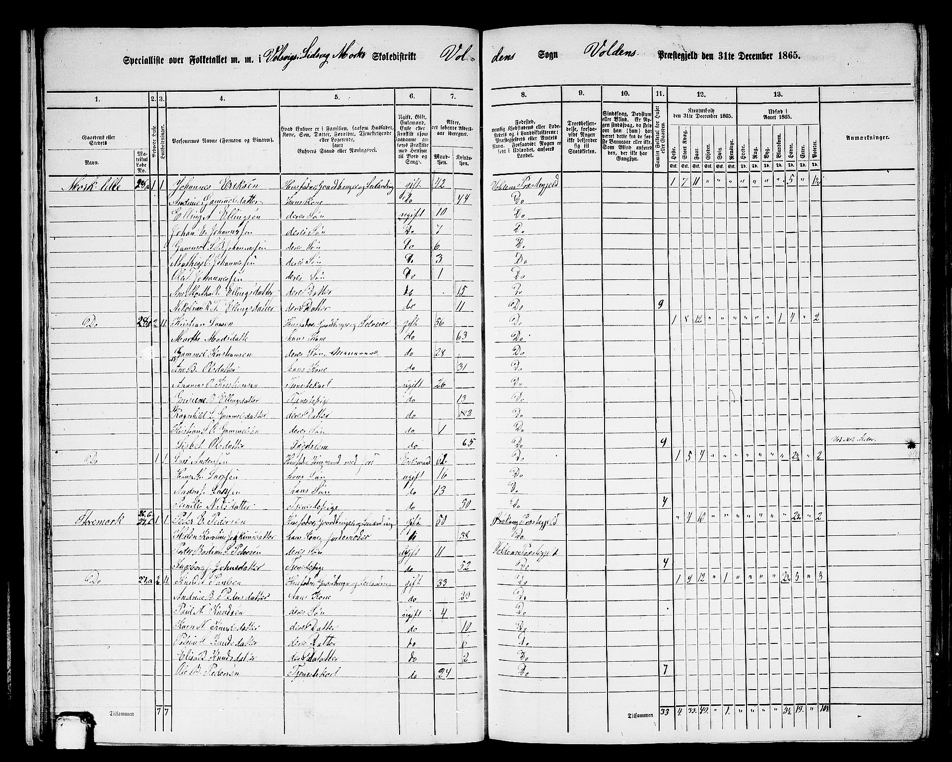 RA, 1865 census for Volda, 1865, p. 22