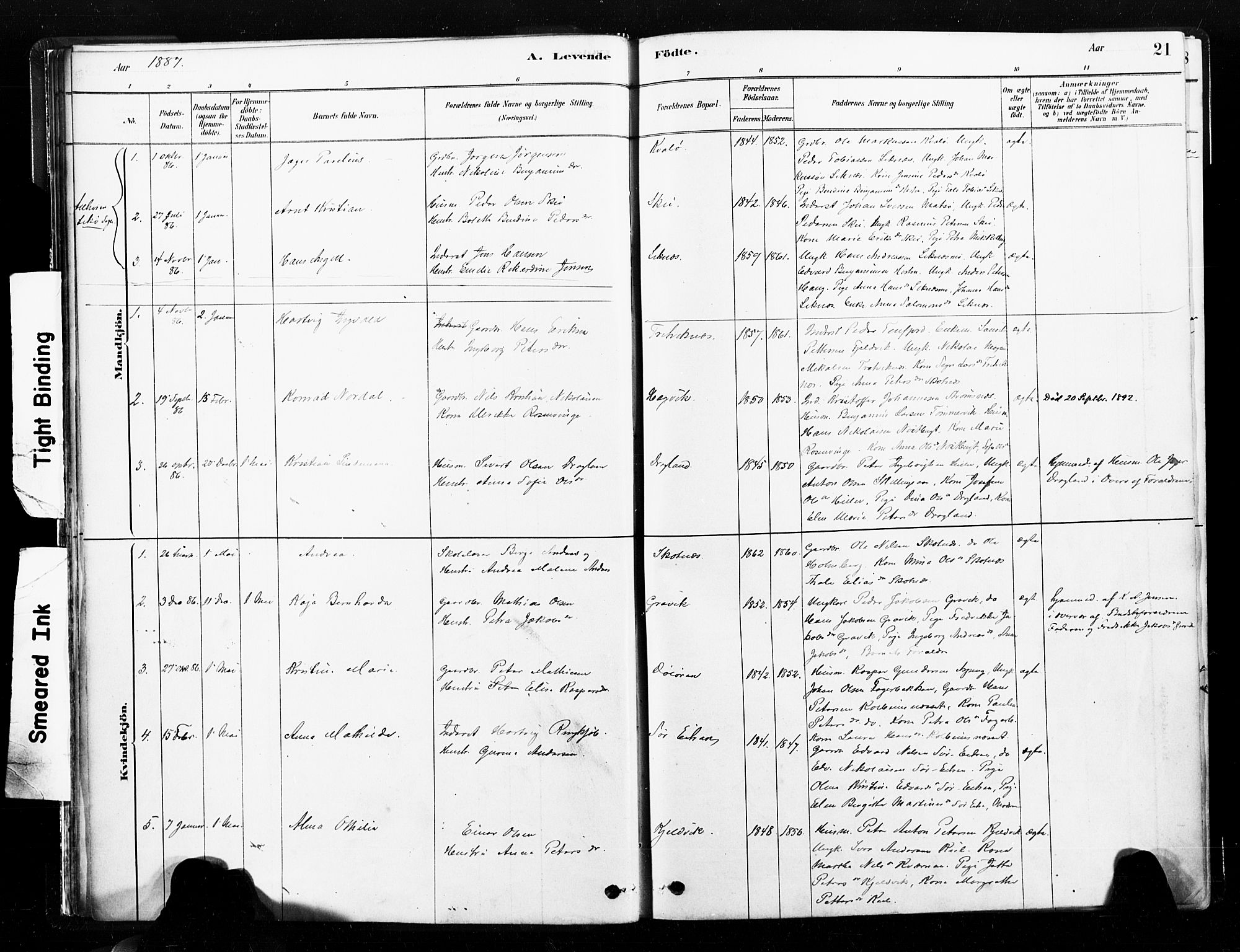 Ministerialprotokoller, klokkerbøker og fødselsregistre - Nord-Trøndelag, SAT/A-1458/789/L0705: Parish register (official) no. 789A01, 1878-1910, p. 21