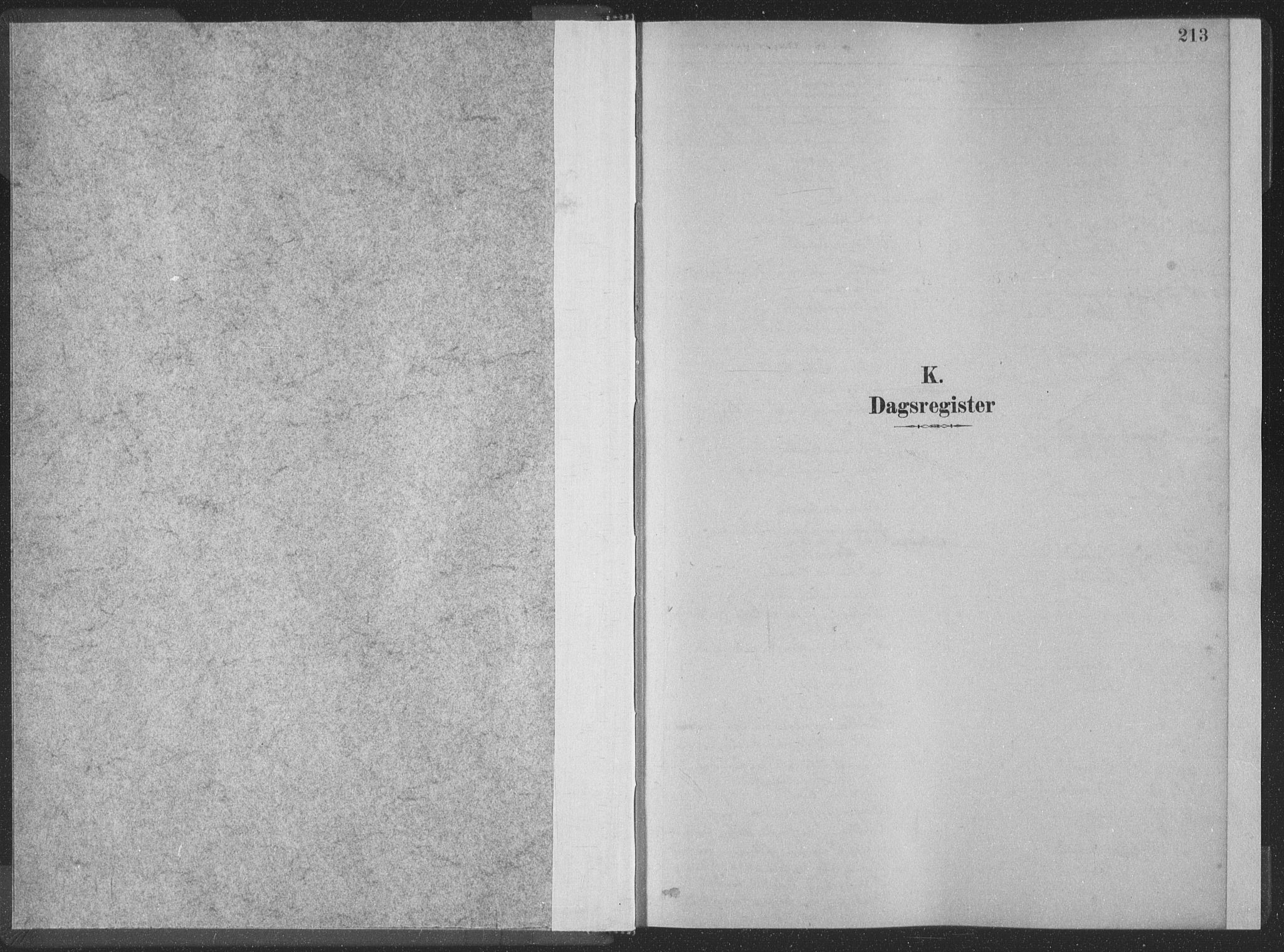 Ministerialprotokoller, klokkerbøker og fødselsregistre - Møre og Romsdal, SAT/A-1454/528/L0404: Parish register (official) no. 528A13II, 1880-1922, p. 213
