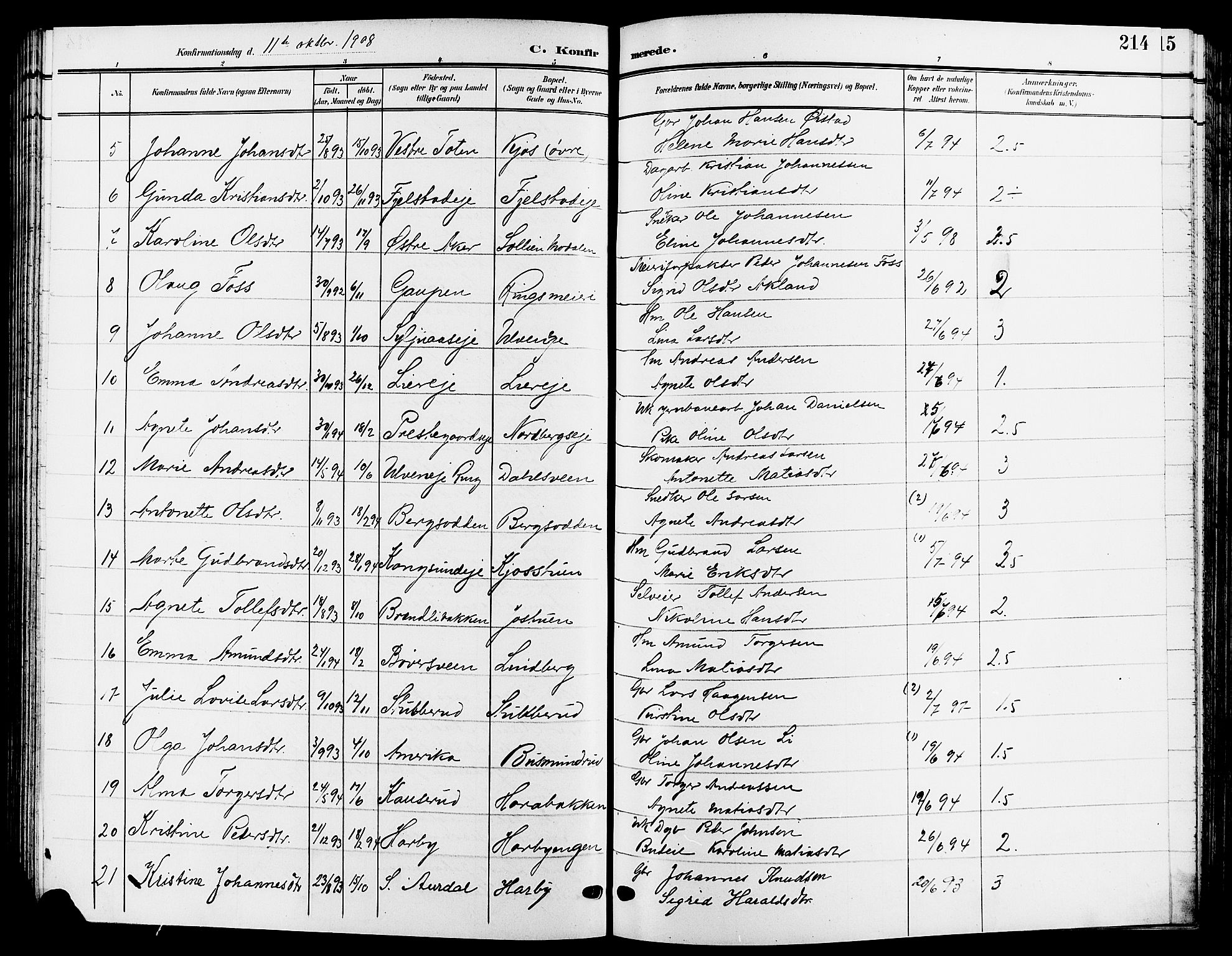 Ringsaker prestekontor, AV/SAH-PREST-014/L/La/L0015: Parish register (copy) no. 15, 1903-1912, p. 214