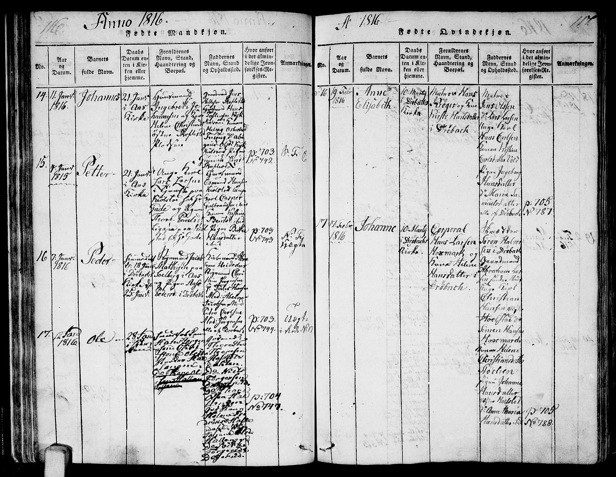 Ås prestekontor Kirkebøker, AV/SAO-A-10894/F/Fa/L0003: Parish register (official) no. I 3, 1814-1818, p. 116-117
