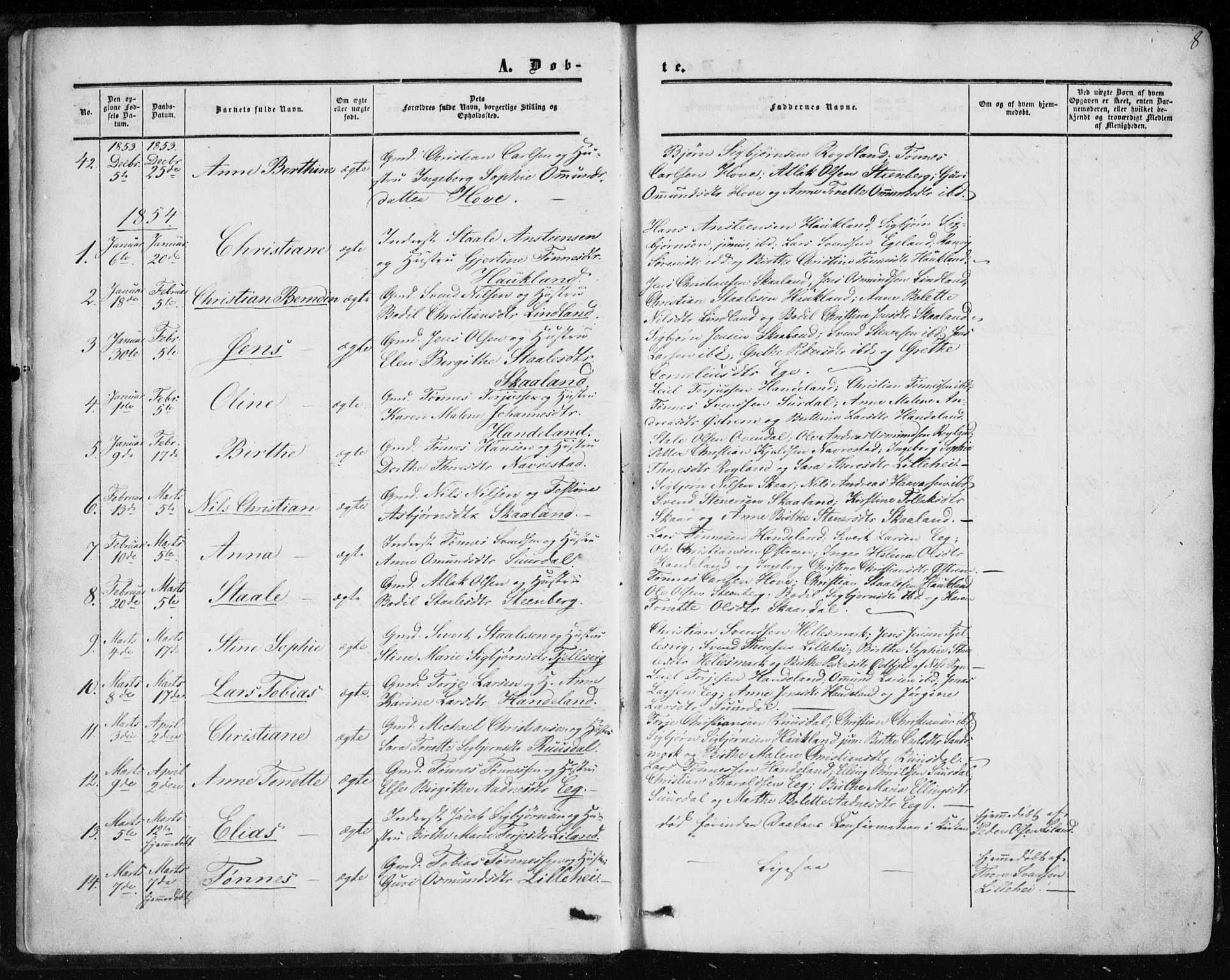 Lund sokneprestkontor, AV/SAST-A-101809/S06/L0009: Parish register (official) no. A 8, 1853-1877, p. 8