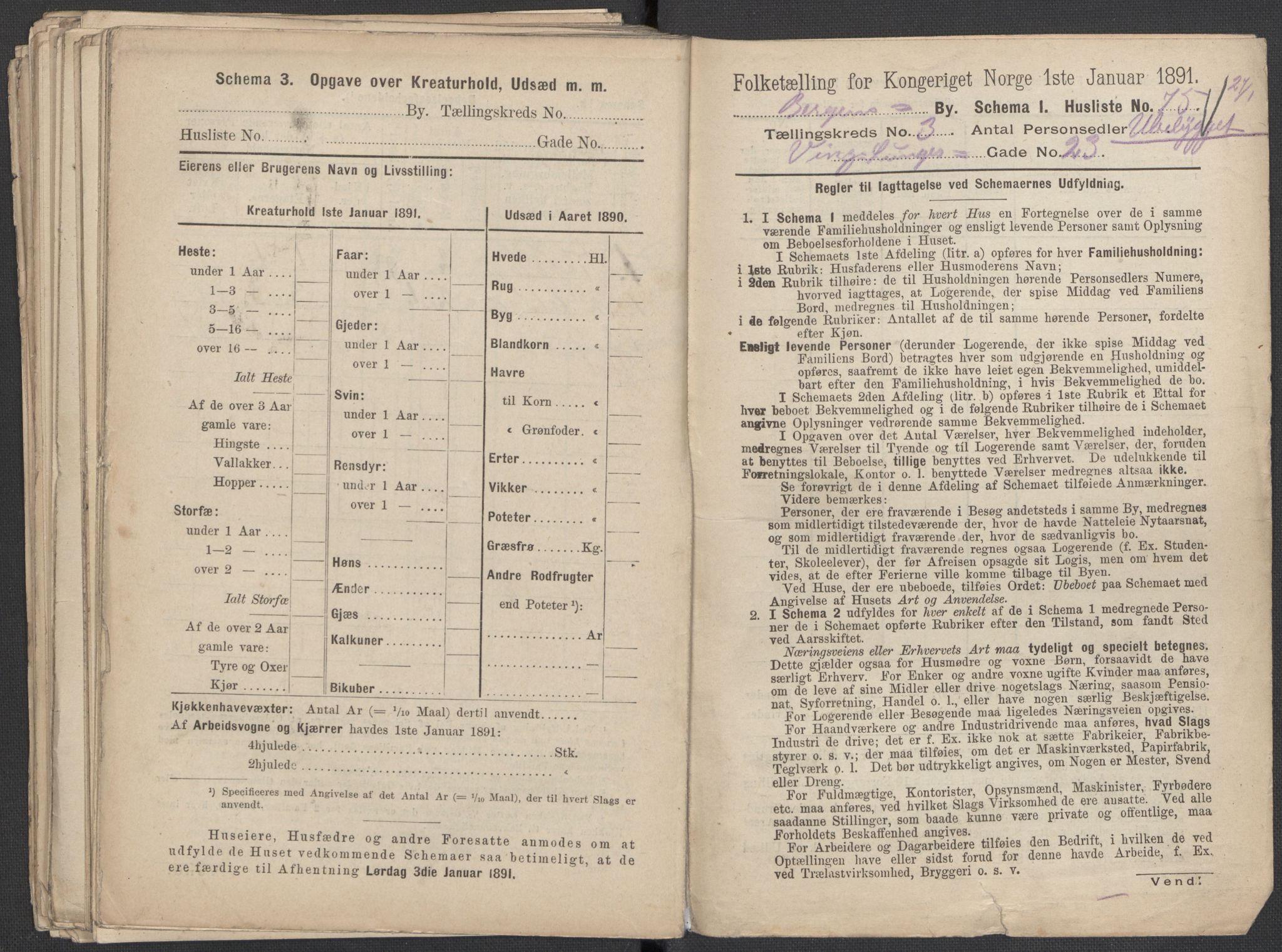 RA, 1891 Census for 1301 Bergen, 1891, p. 705