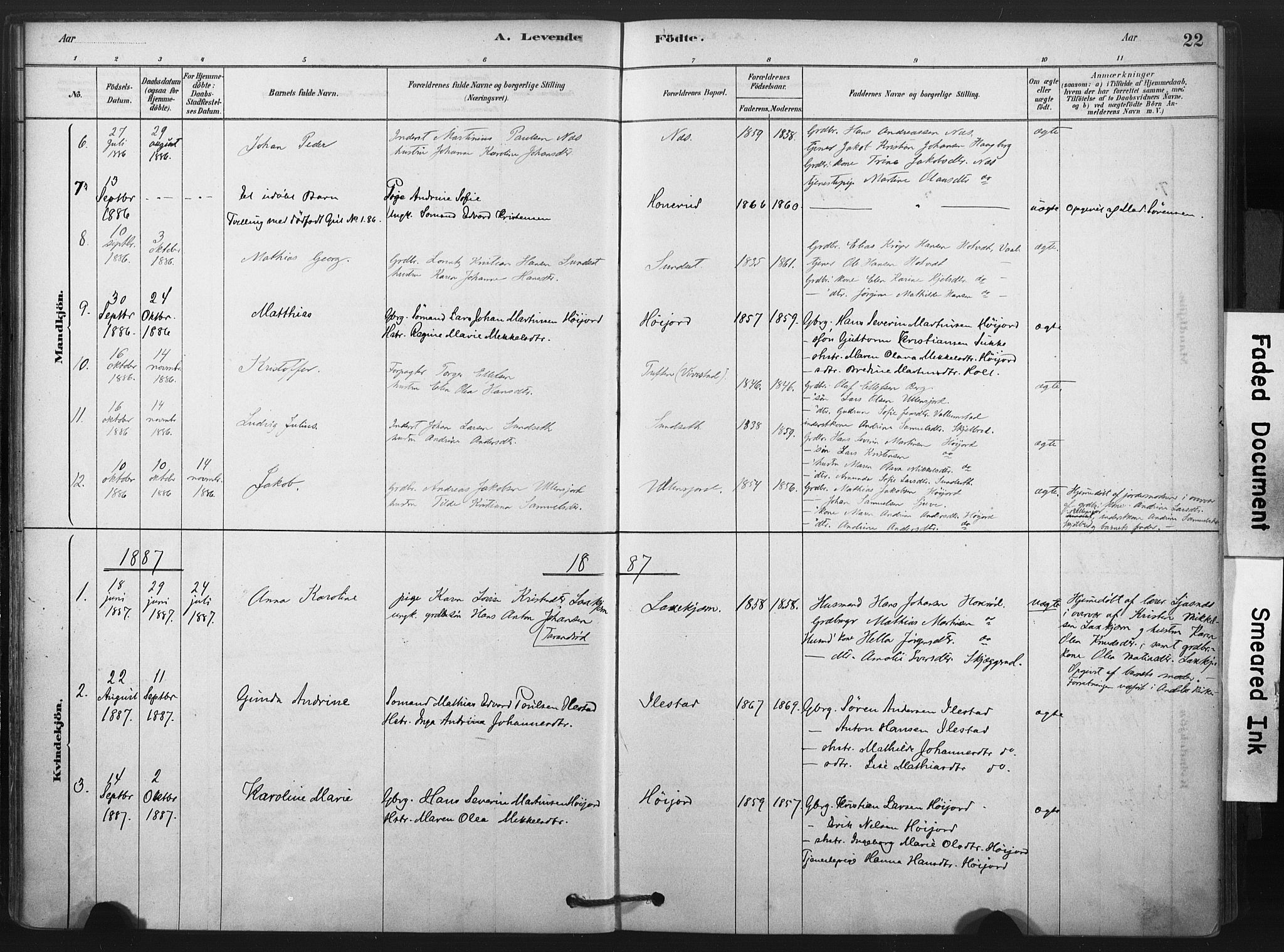 Andebu kirkebøker, SAKO/A-336/F/Fa/L0009: Parish register (official) no. 9, 1878-1909, p. 22