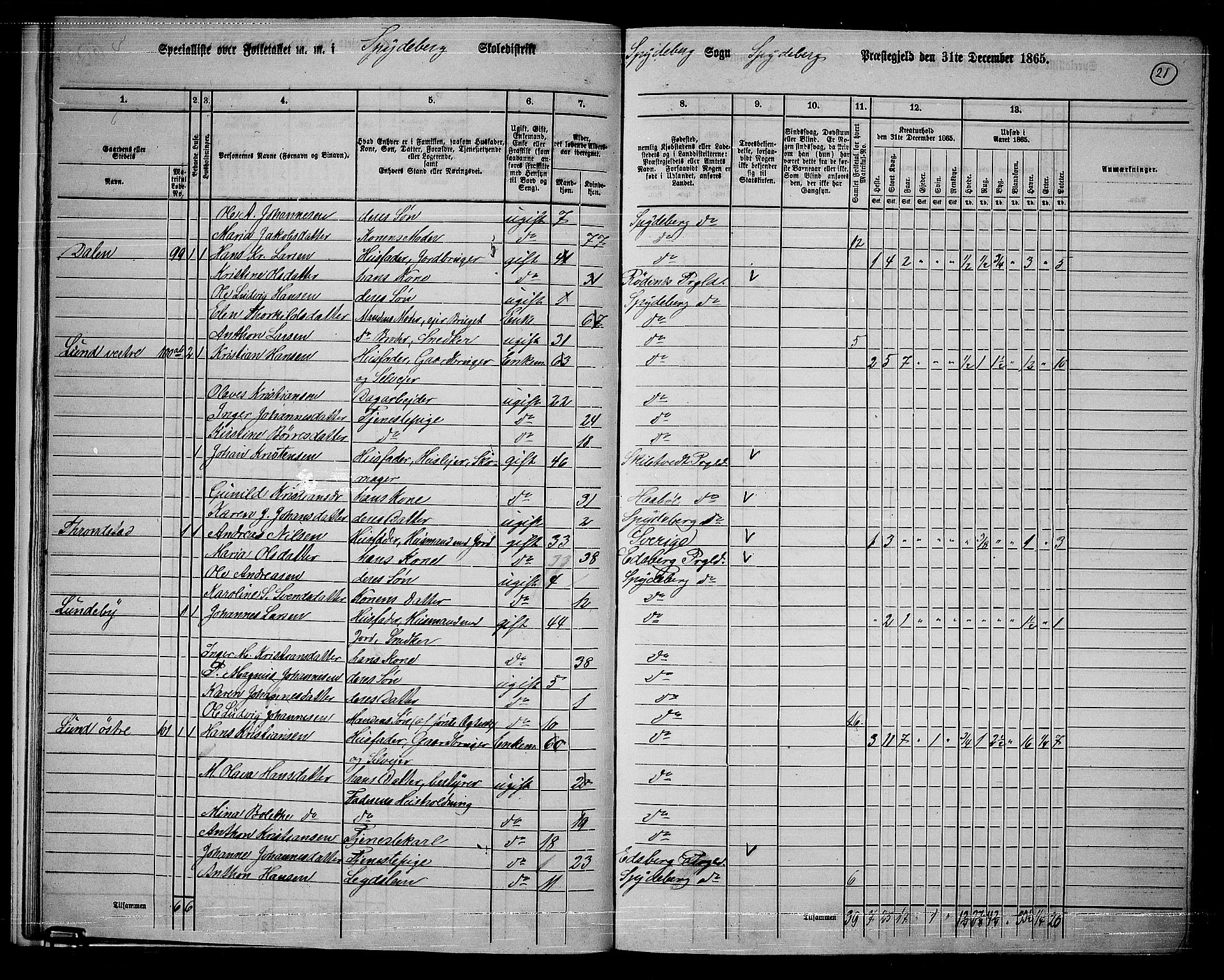 RA, 1865 census for Spydeberg, 1865, p. 20