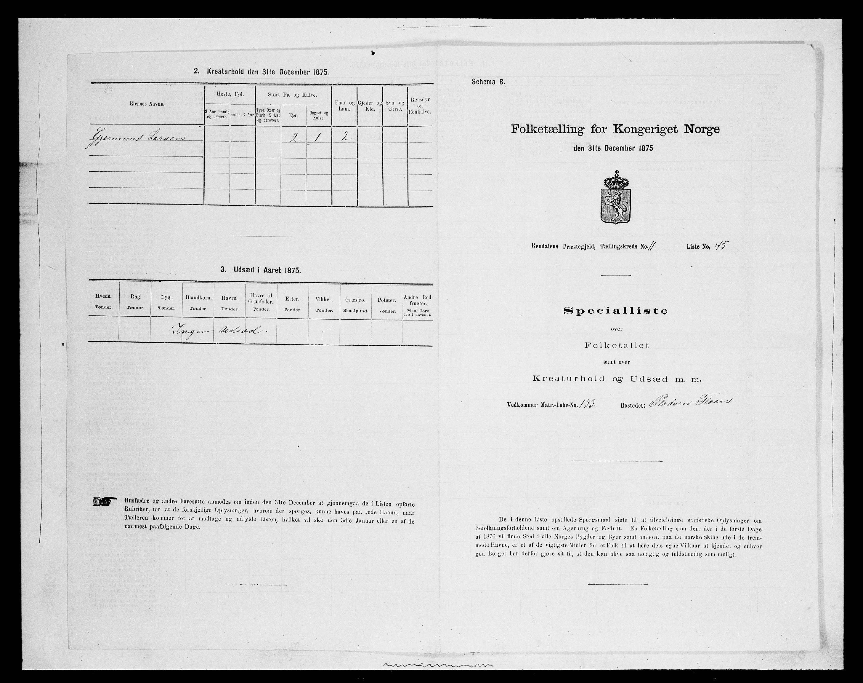 SAH, 1875 census for 0432P Rendalen, 1875, p. 1029