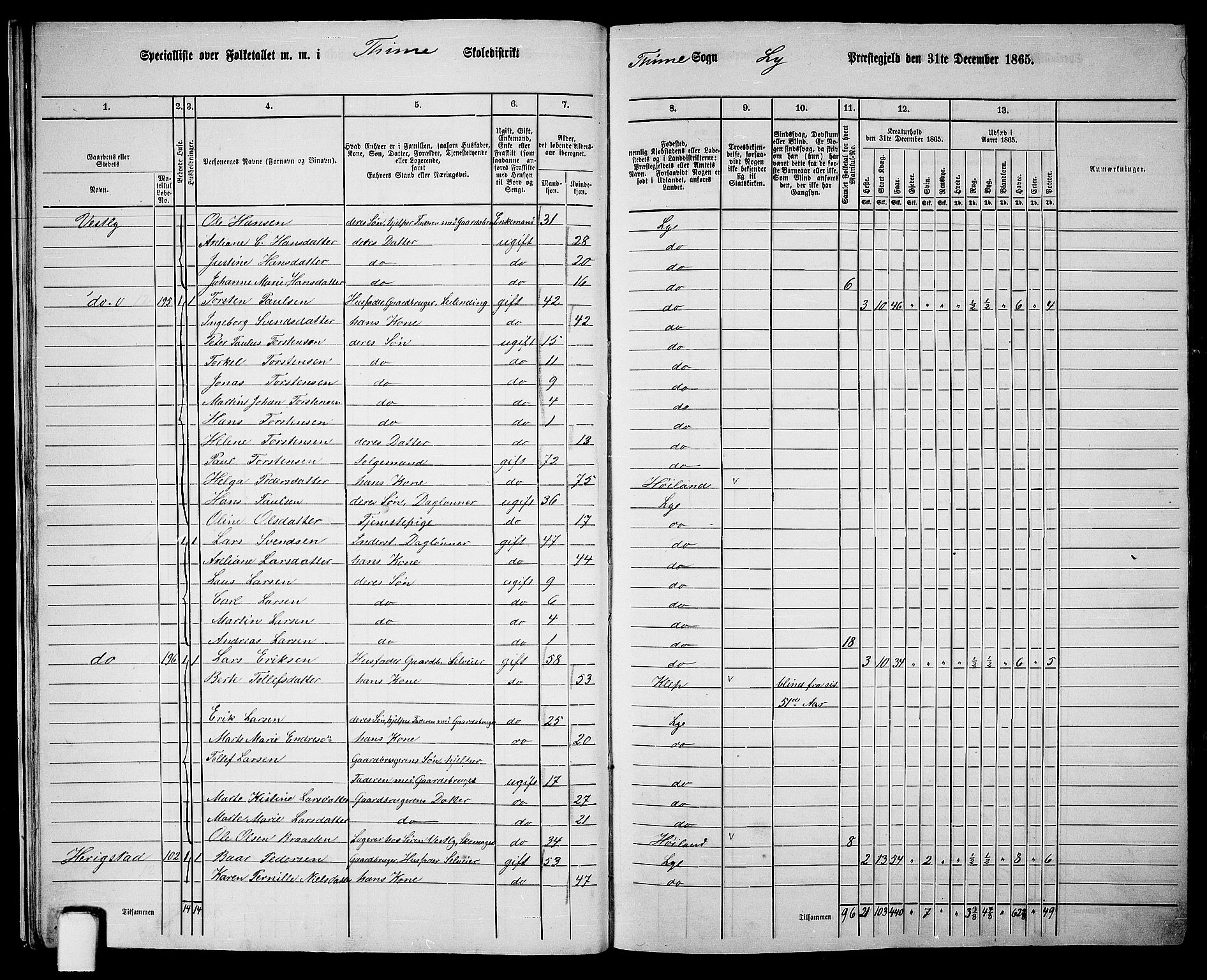 RA, 1865 census for Lye, 1865, p. 17