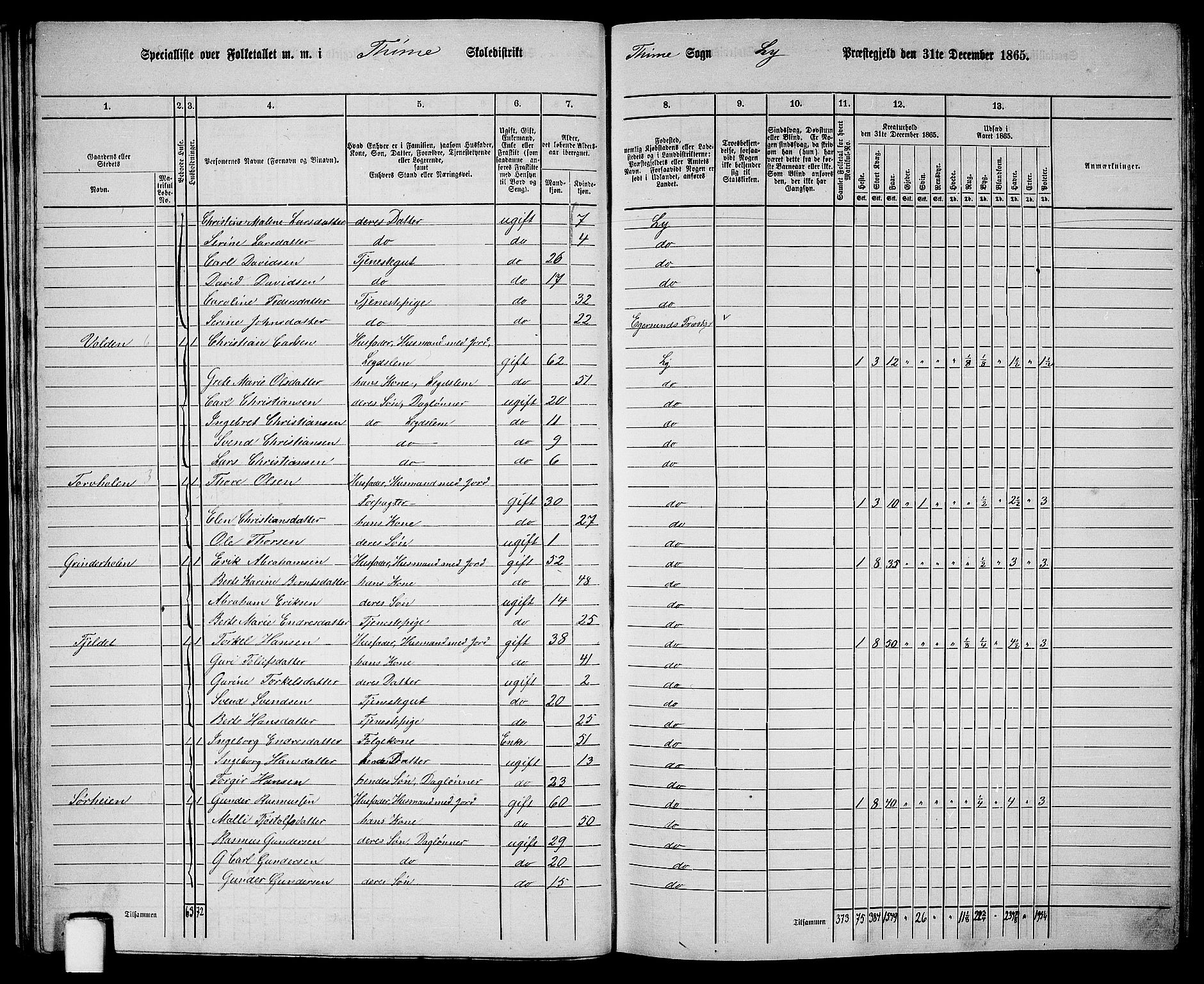 RA, 1865 census for Lye, 1865, p. 29