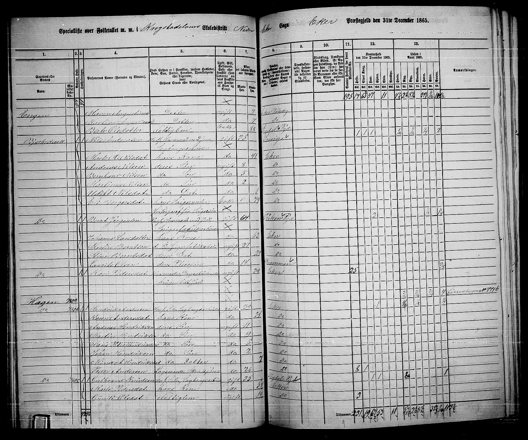 RA, 1865 census for Eiker, 1865, p. 329