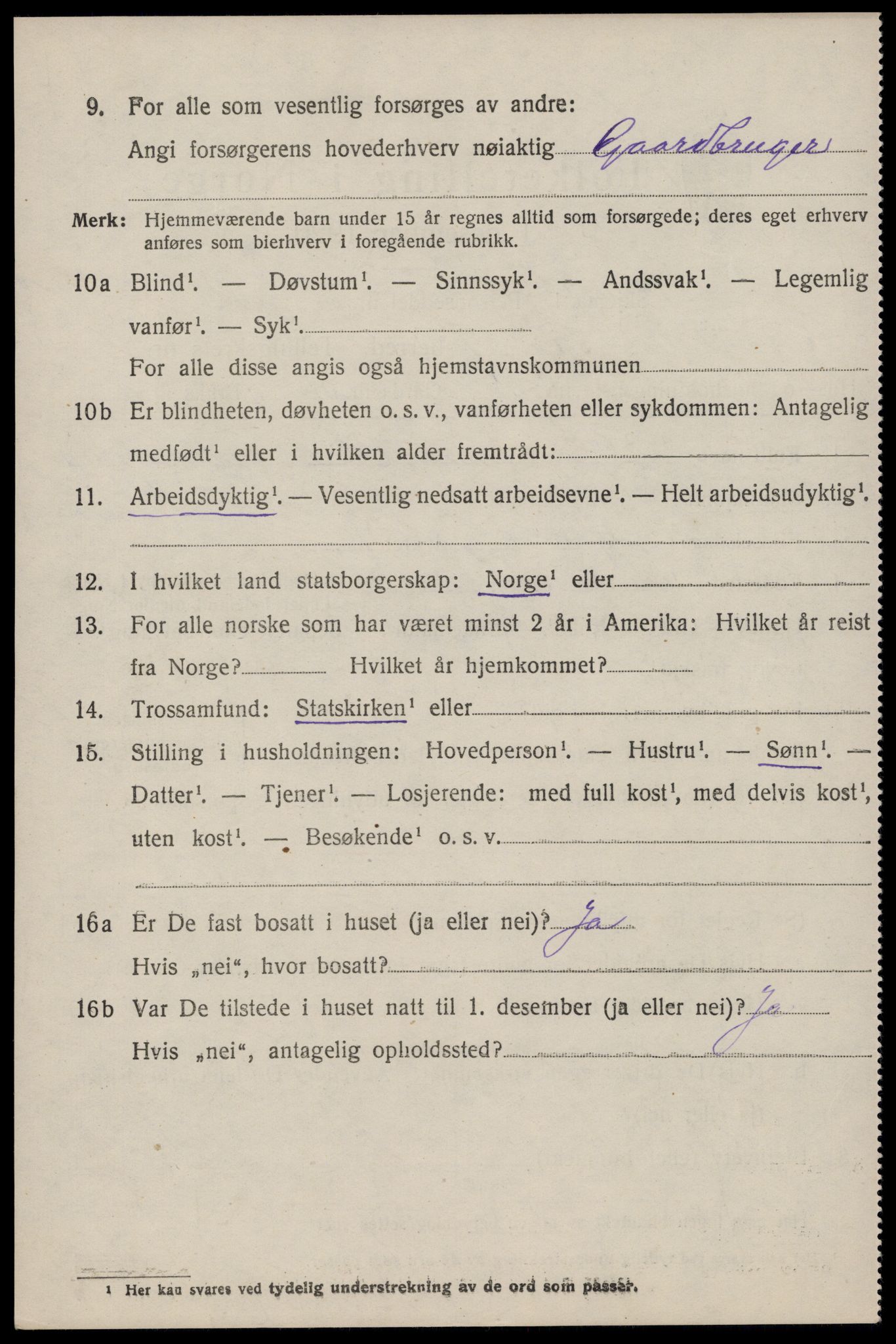 SAST, 1920 census for Årdal, 1920, p. 591