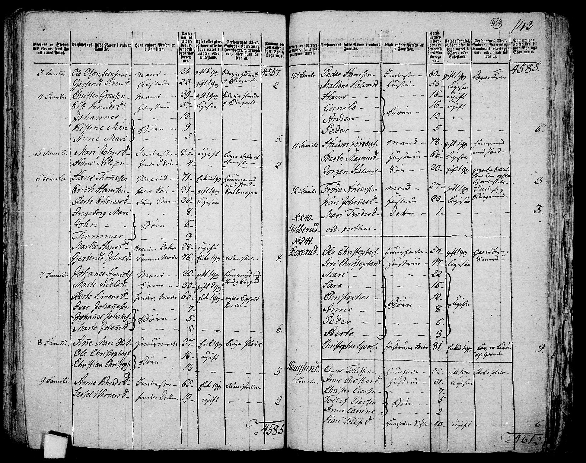 RA, 1801 census for 0624P Eiker, 1801, p. 453b-454a
