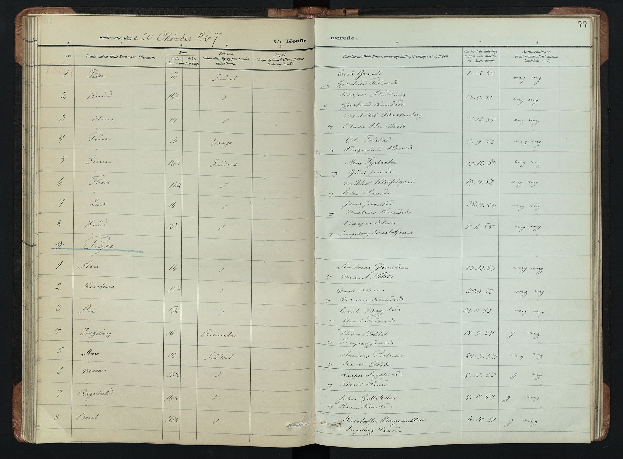 Kvikne prestekontor, SAH/PREST-064/H/Ha/Hab/L0002: Parish register (copy) no. 2, 1859-1901, p. 77