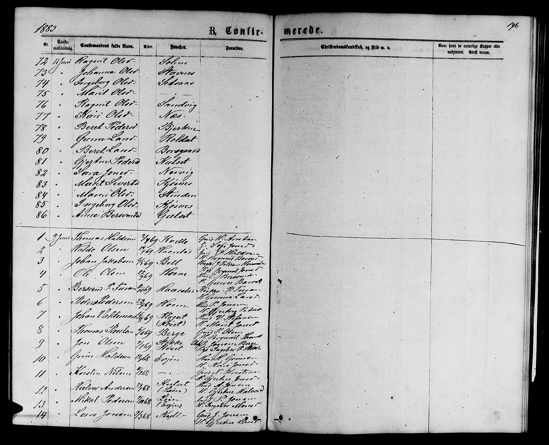 Ministerialprotokoller, klokkerbøker og fødselsregistre - Sør-Trøndelag, SAT/A-1456/695/L1156: Parish register (copy) no. 695C07, 1869-1888, p. 196