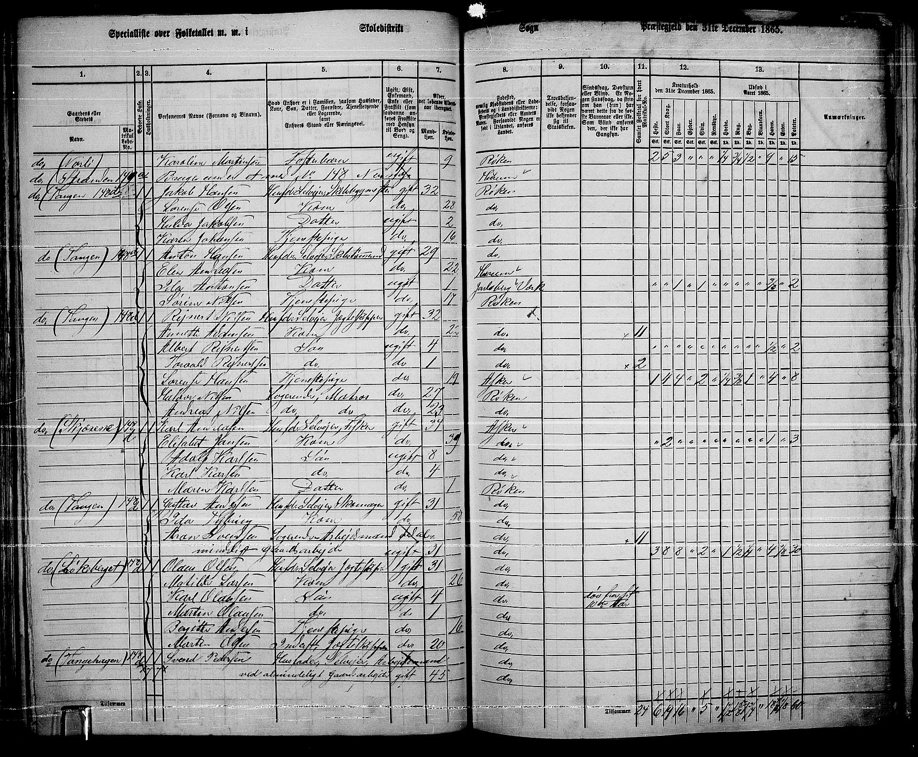 RA, 1865 census for Røyken, 1865, p. 53