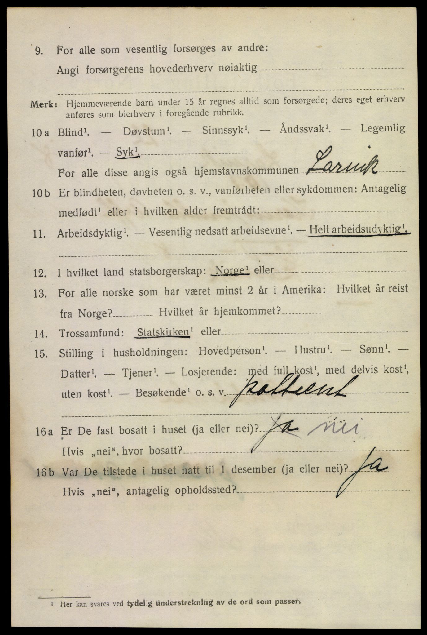 SAKO, 1920 census for Larvik, 1920, p. 24503