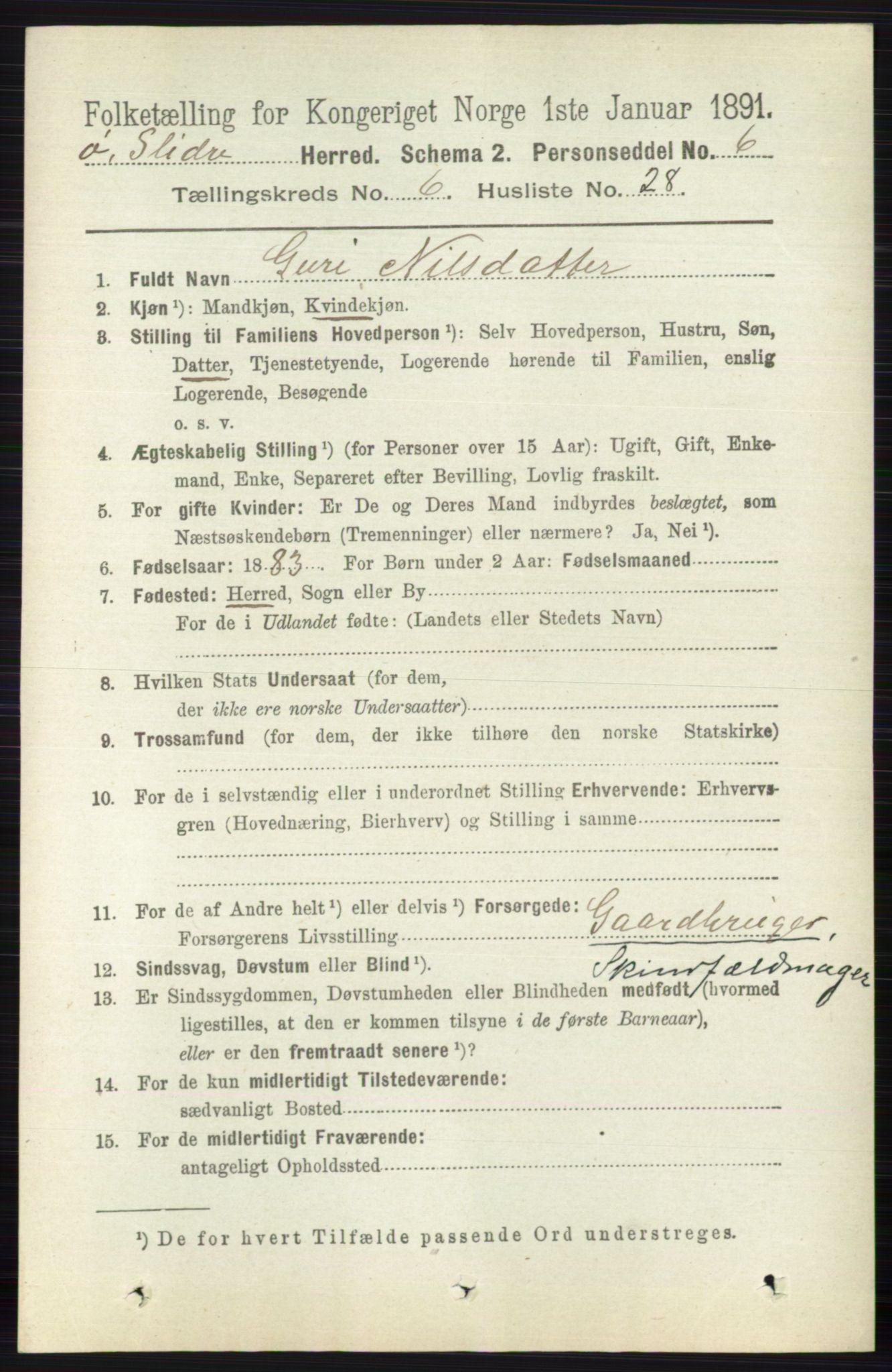 RA, 1891 census for 0544 Øystre Slidre, 1891, p. 1951