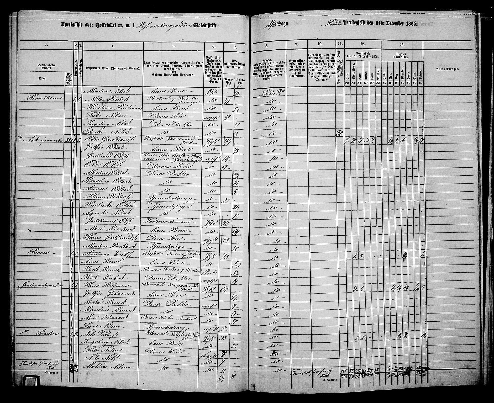 RA, 1865 census for Land, 1865, p. 408