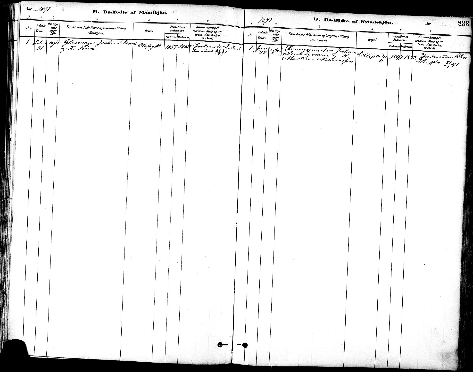 Ministerialprotokoller, klokkerbøker og fødselsregistre - Sør-Trøndelag, SAT/A-1456/601/L0057: Parish register (official) no. 601A25, 1877-1891, p. 233