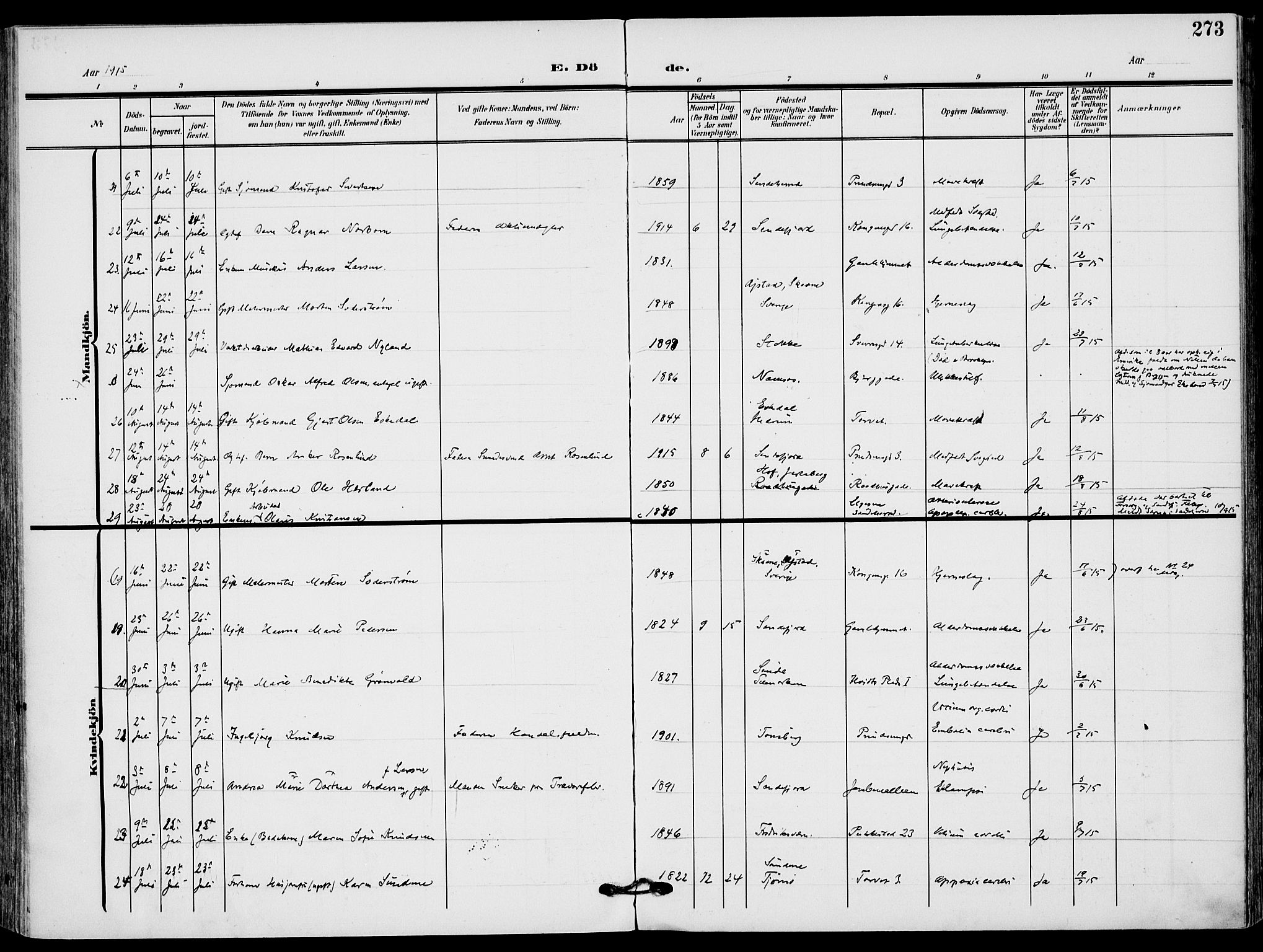 Sandefjord kirkebøker, AV/SAKO-A-315/F/Fa/L0005: Parish register (official) no. 5, 1906-1915, p. 273