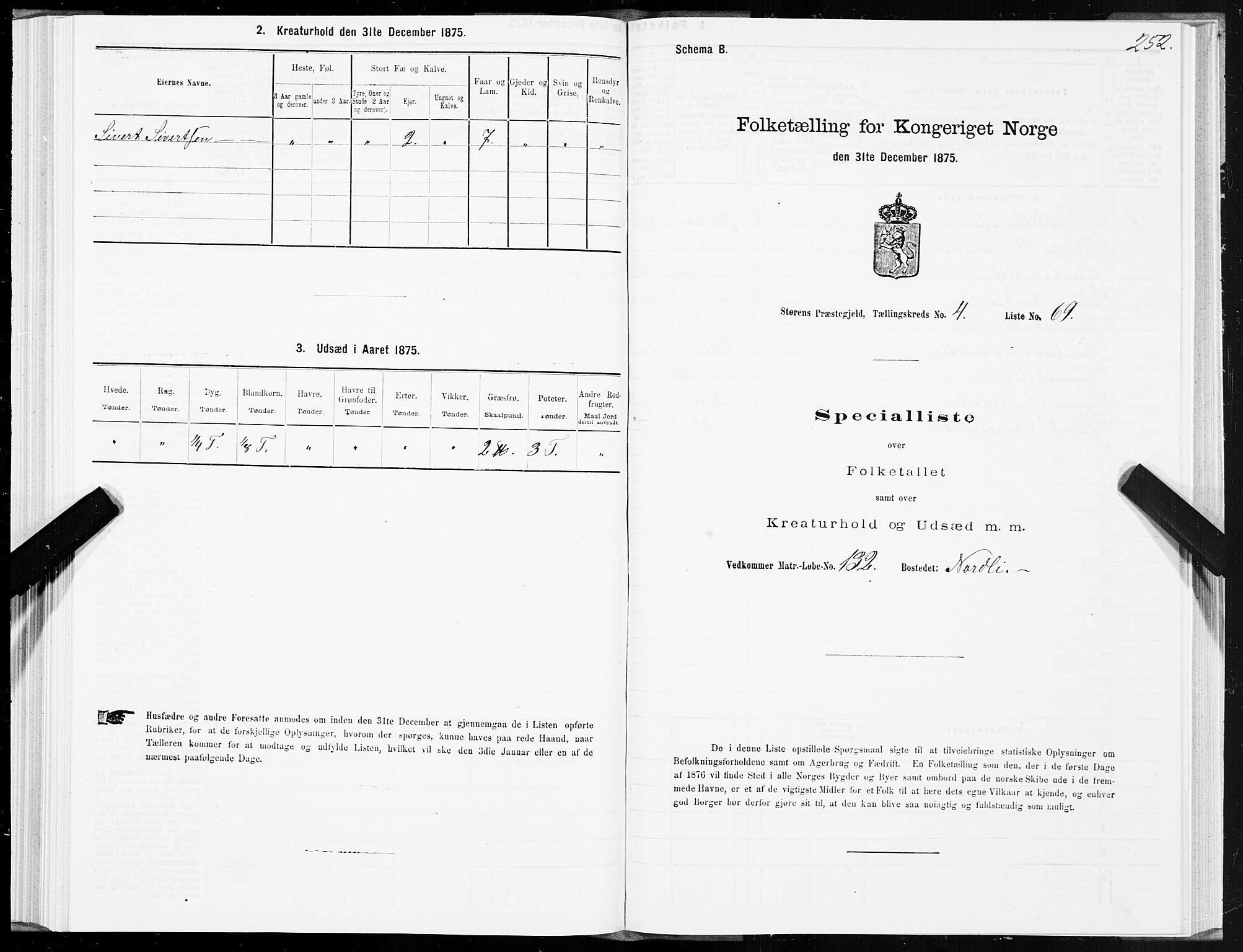 SAT, 1875 census for 1648P Støren, 1875, p. 8252