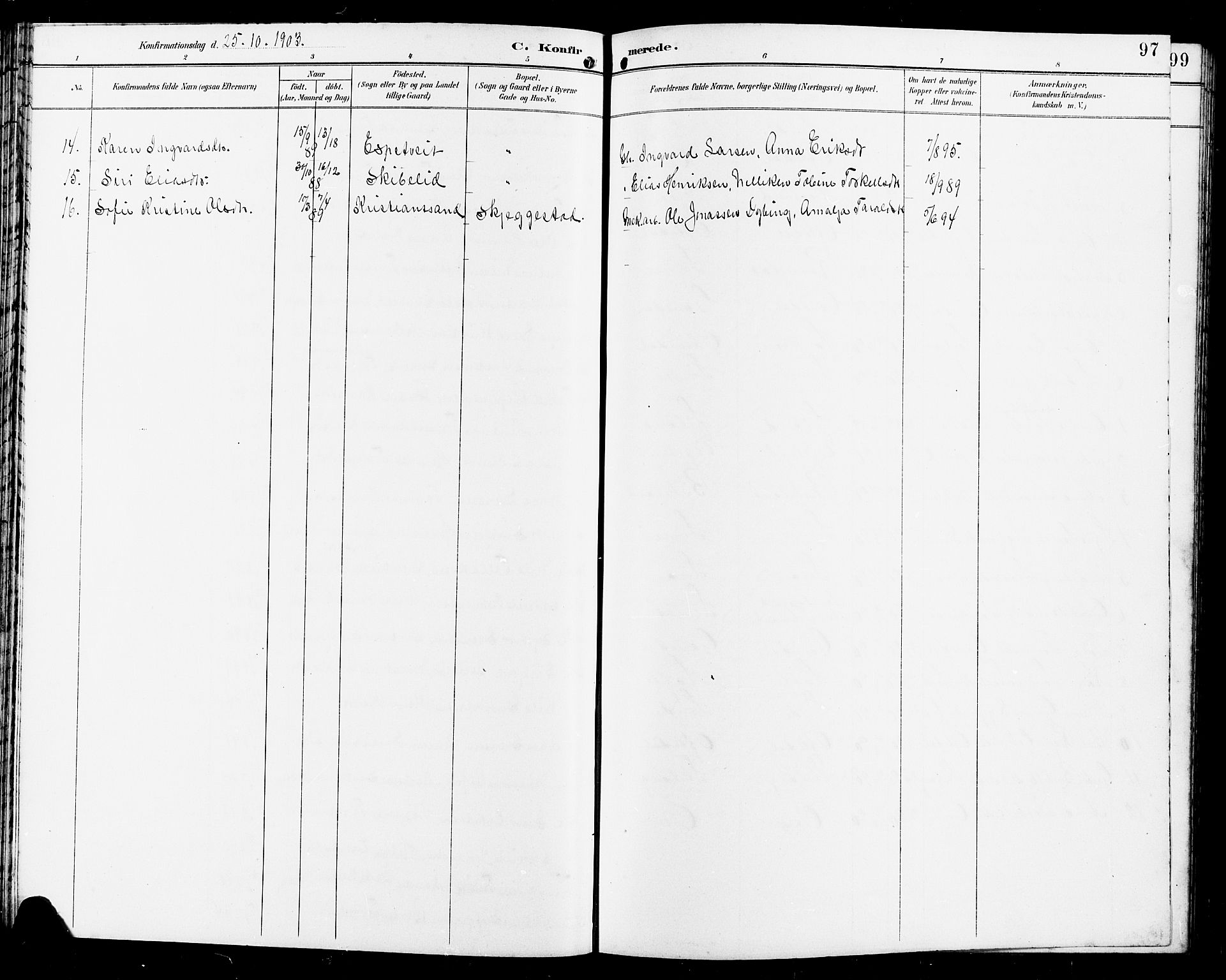 Bakke sokneprestkontor, SAK/1111-0002/F/Fb/Fba/L0003: Parish register (copy) no. B 3, 1894-1910, p. 97