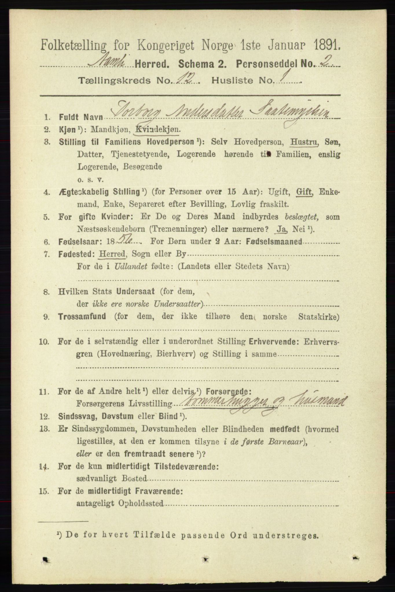 RA, 1891 census for 0929 Åmli, 1891, p. 2037