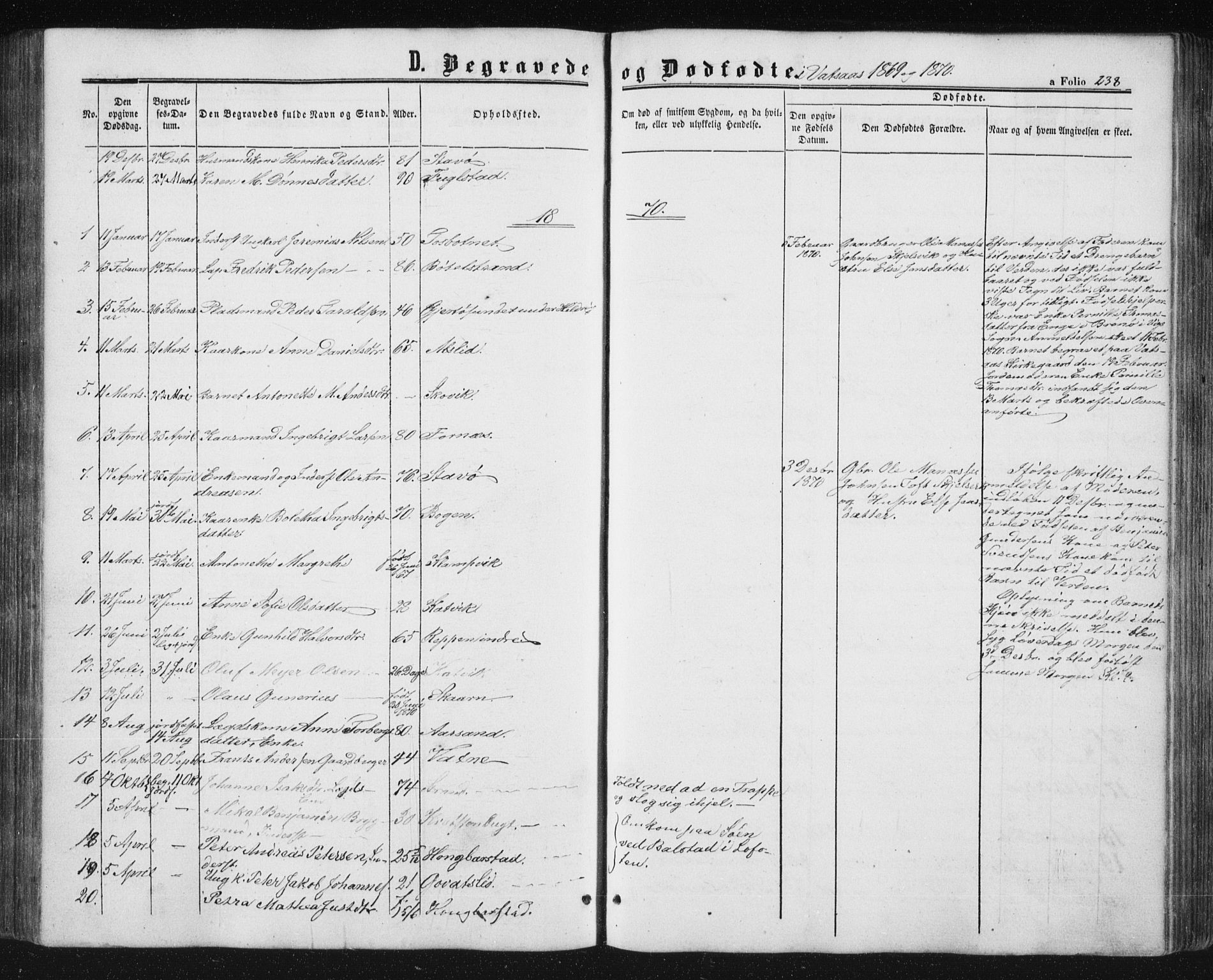 Ministerialprotokoller, klokkerbøker og fødselsregistre - Nordland, AV/SAT-A-1459/810/L0158: Parish register (copy) no. 810C02 /1, 1863-1883, p. 238