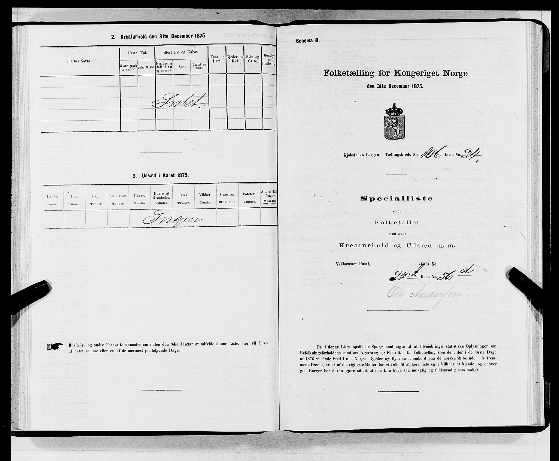 SAB, 1875 census for 1301 Bergen, 1875, p. 5805