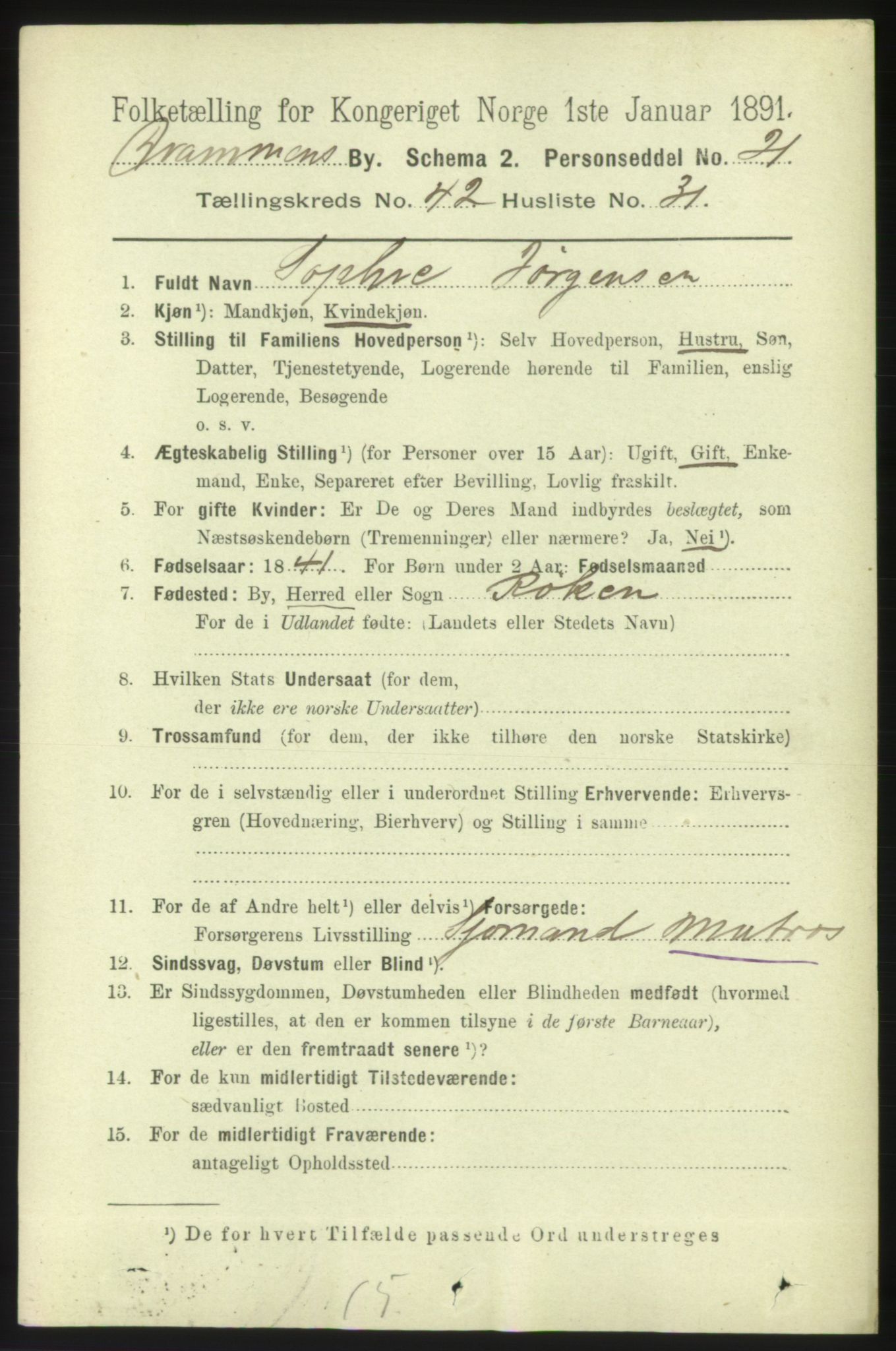 RA, 1891 census for 0602 Drammen, 1891, p. 24875