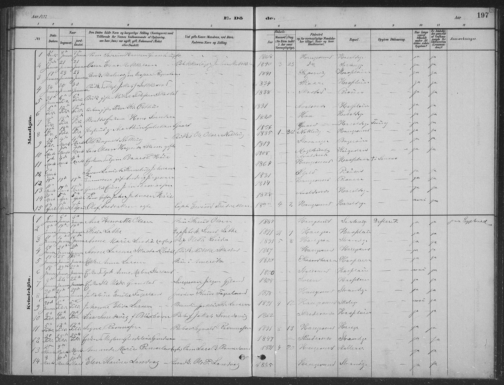 Haugesund sokneprestkontor, AV/SAST-A -101863/H/Ha/Hab/L0002: Parish register (copy) no. B 2, 1881-1894, p. 197