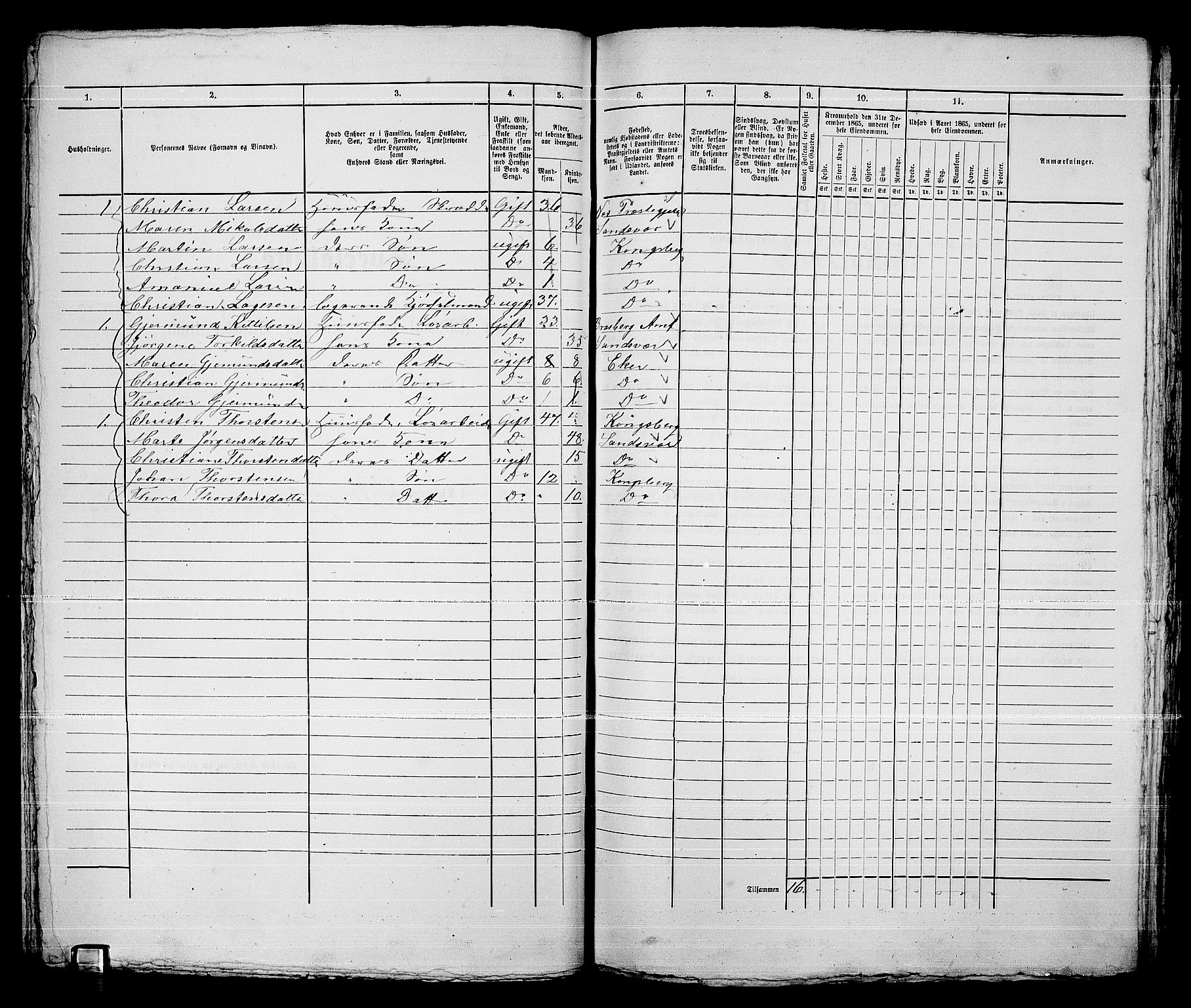 RA, 1865 census for Kongsberg/Kongsberg, 1865, p. 1229