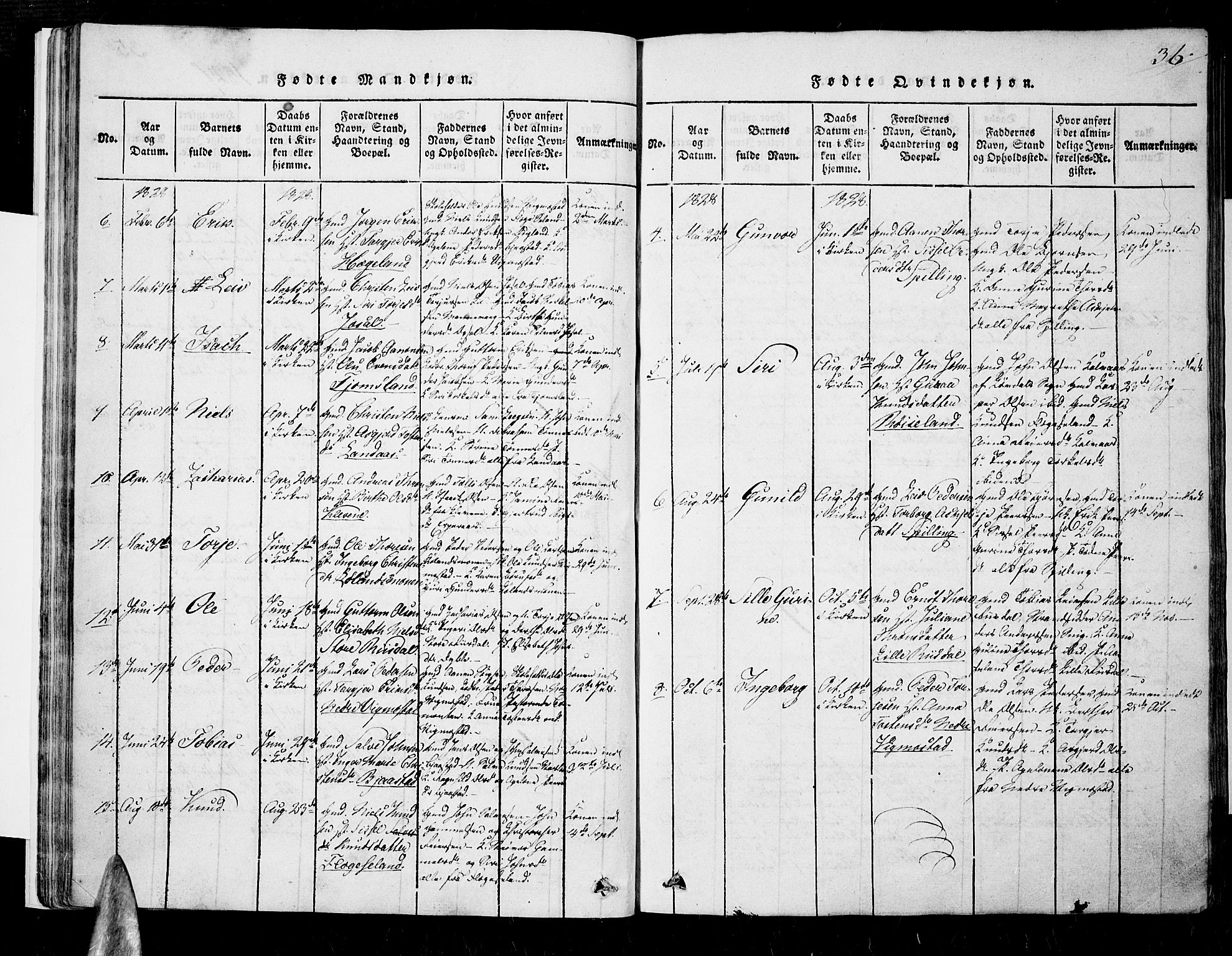Nord-Audnedal sokneprestkontor, SAK/1111-0032/F/Fa/Fab/L0001: Parish register (official) no. A 1, 1816-1858, p. 36