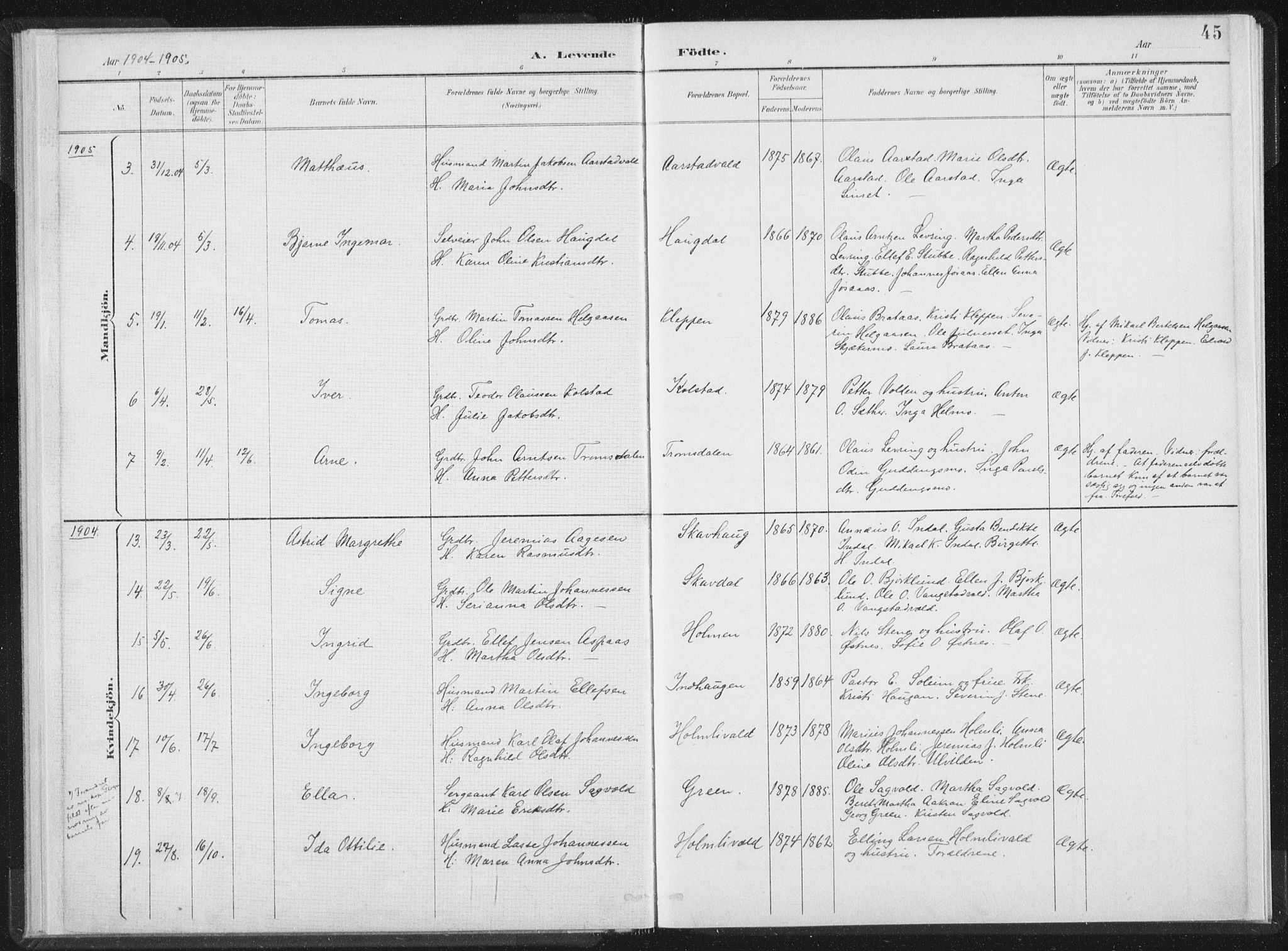 Ministerialprotokoller, klokkerbøker og fødselsregistre - Nord-Trøndelag, AV/SAT-A-1458/724/L0263: Parish register (official) no. 724A01, 1891-1907, p. 45